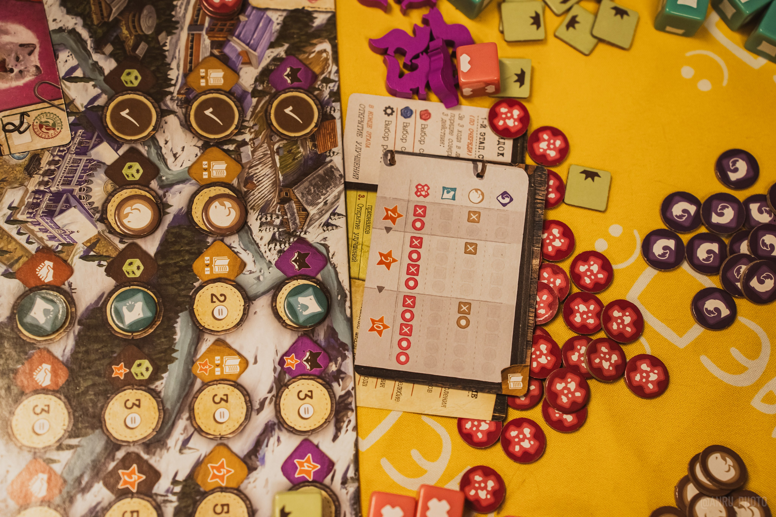 Fox Family fest. Репортажный фотограф Анастасия Рубцова