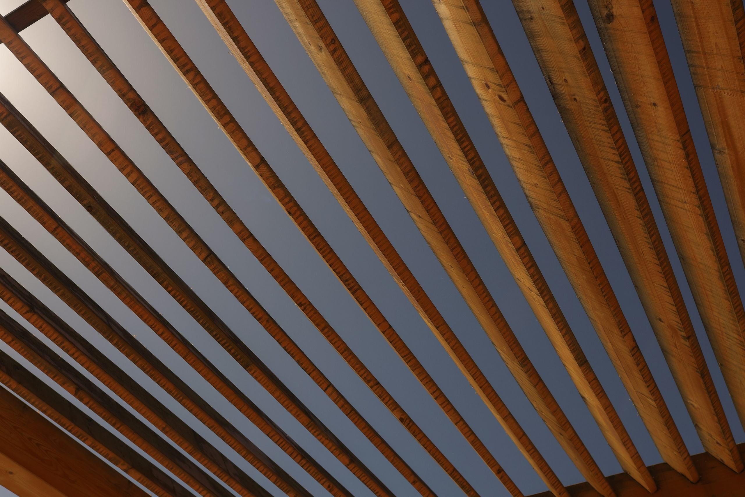 Свадебный фотограф Катерина Евст