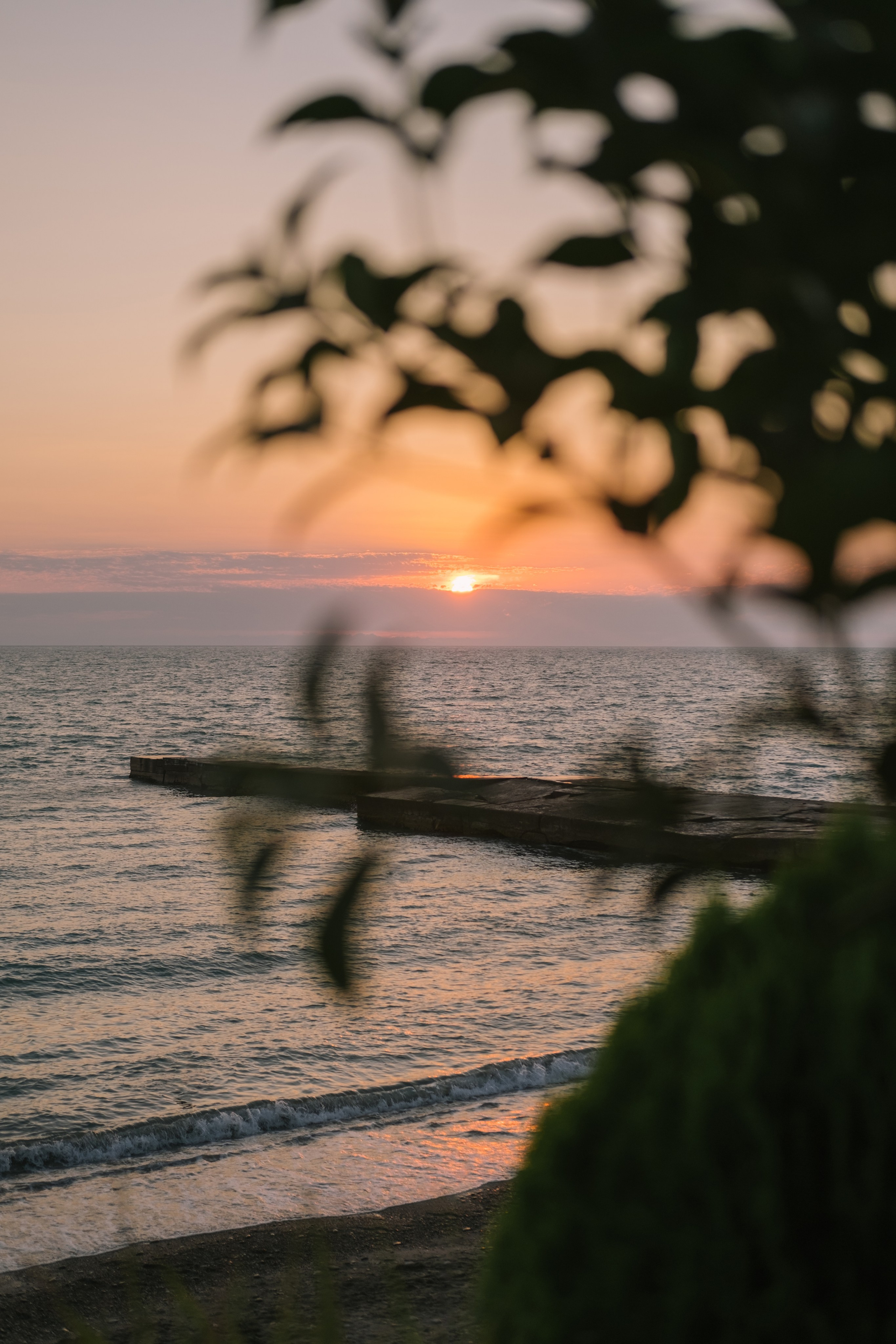 Ольга / Алексей. Свадебный Видеограф Фотограф в Сочи