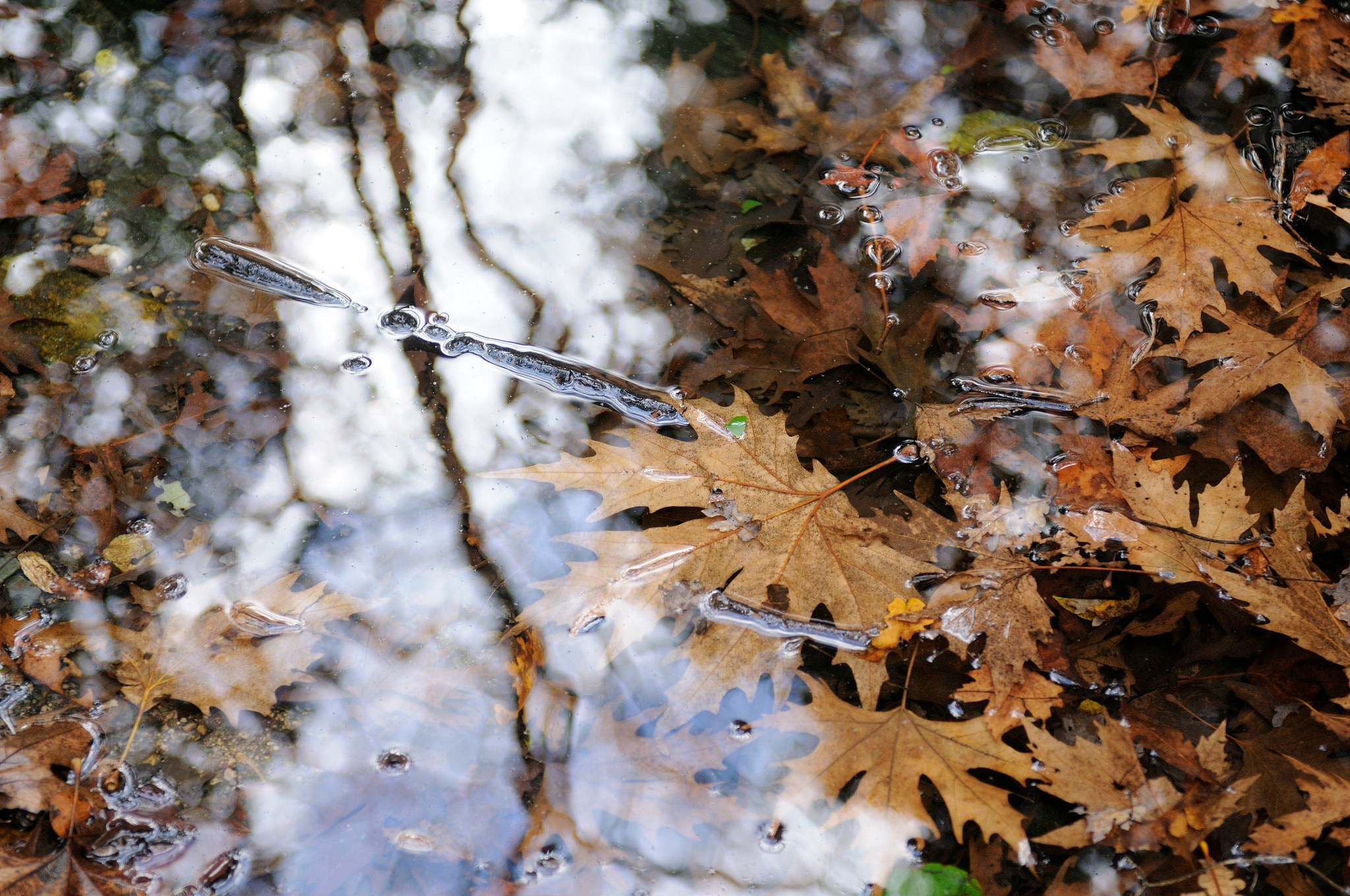 Пейзаж. Фотограф и видеооператор из Москвы Алексей Черкасов