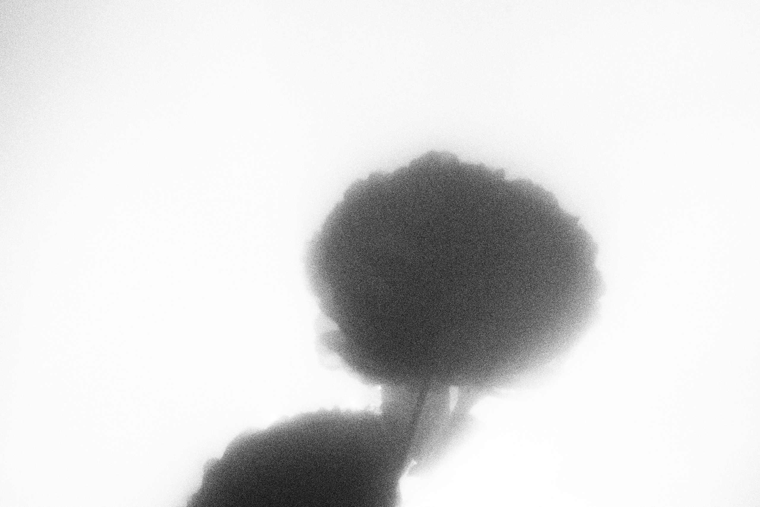 «Видеть. Чувствовать. Сохранять»