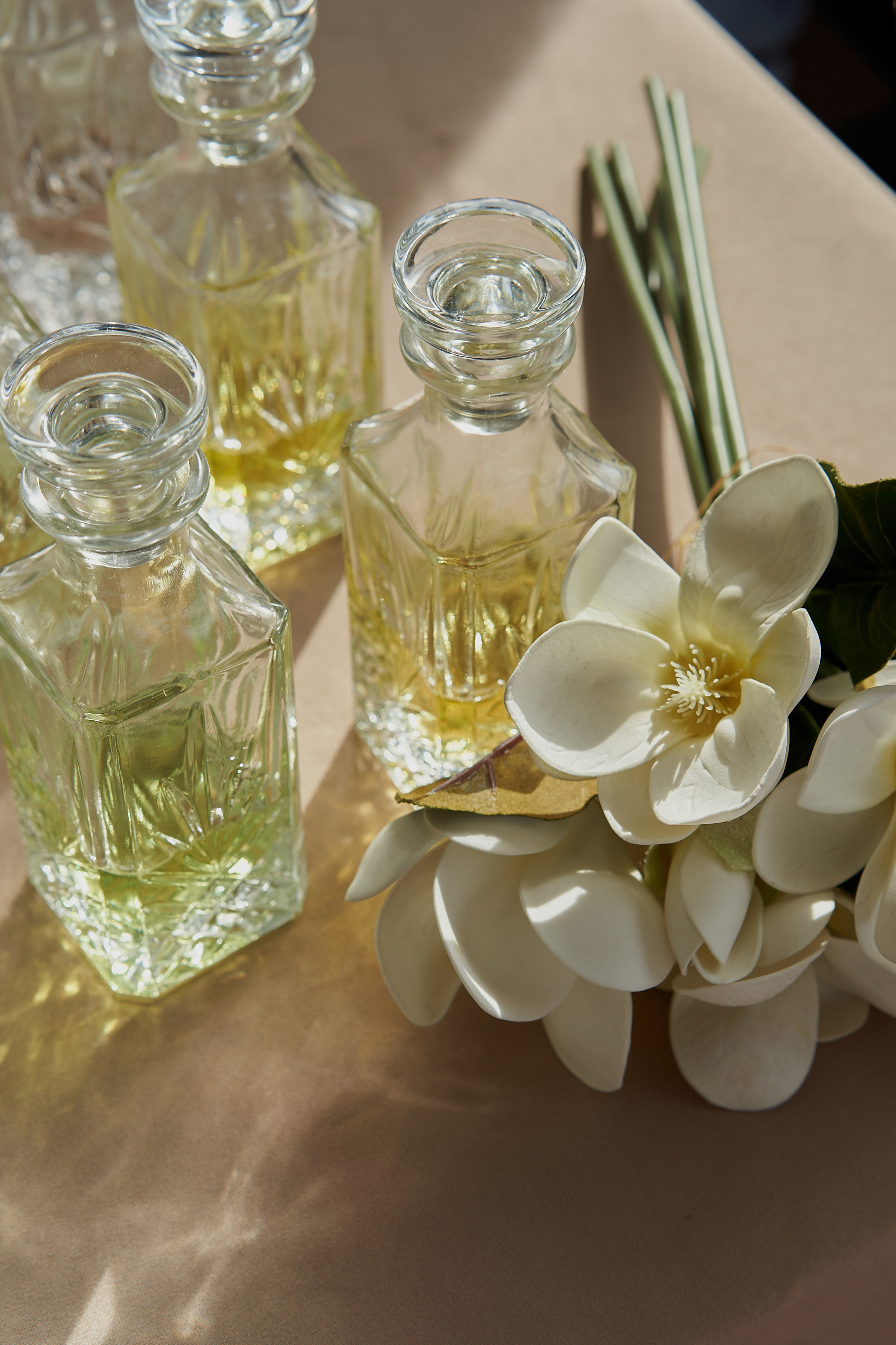 Conceptика MARKET. Фотограф Александра Лазарева