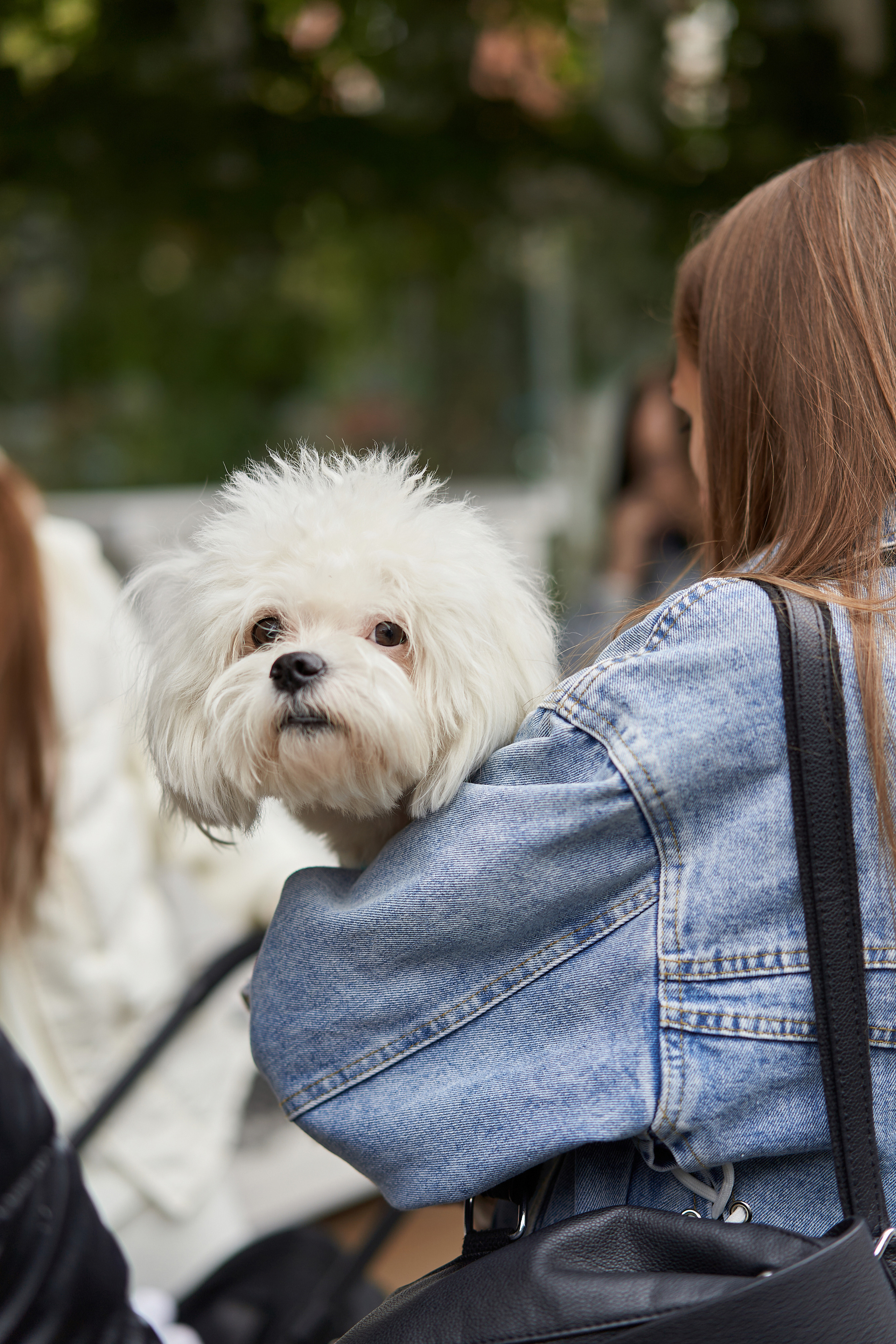 Conceptика MARKET. Фотограф Александра Лазарева