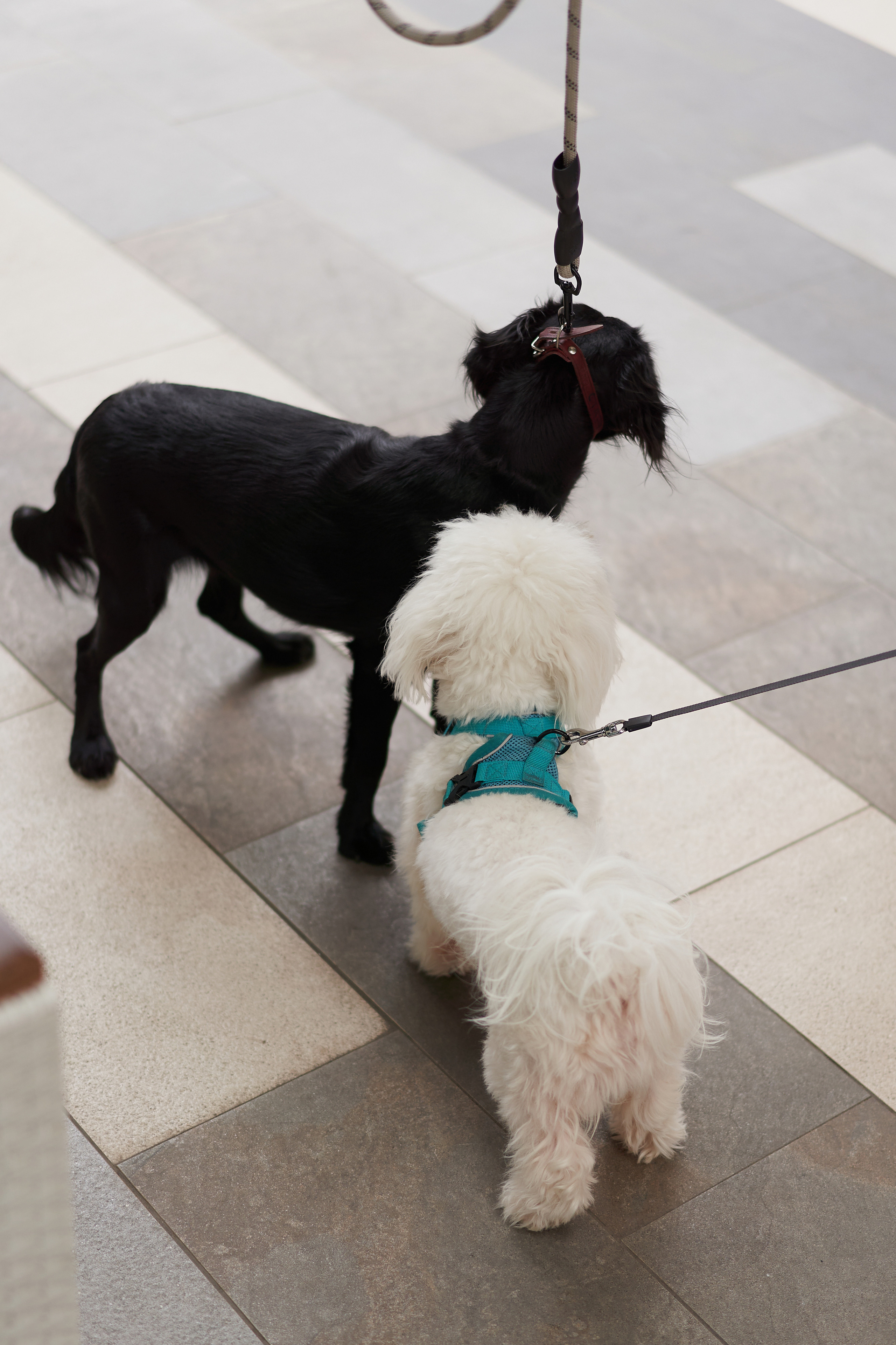 Conceptика MARKET. Фотограф Александра Лазарева