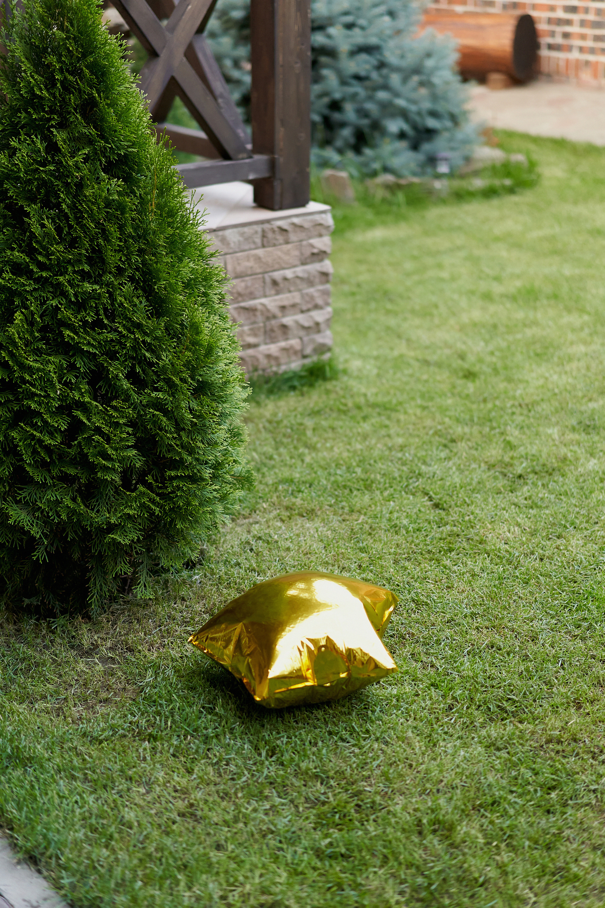 День Рождения. Фотограф Александра Лазарева