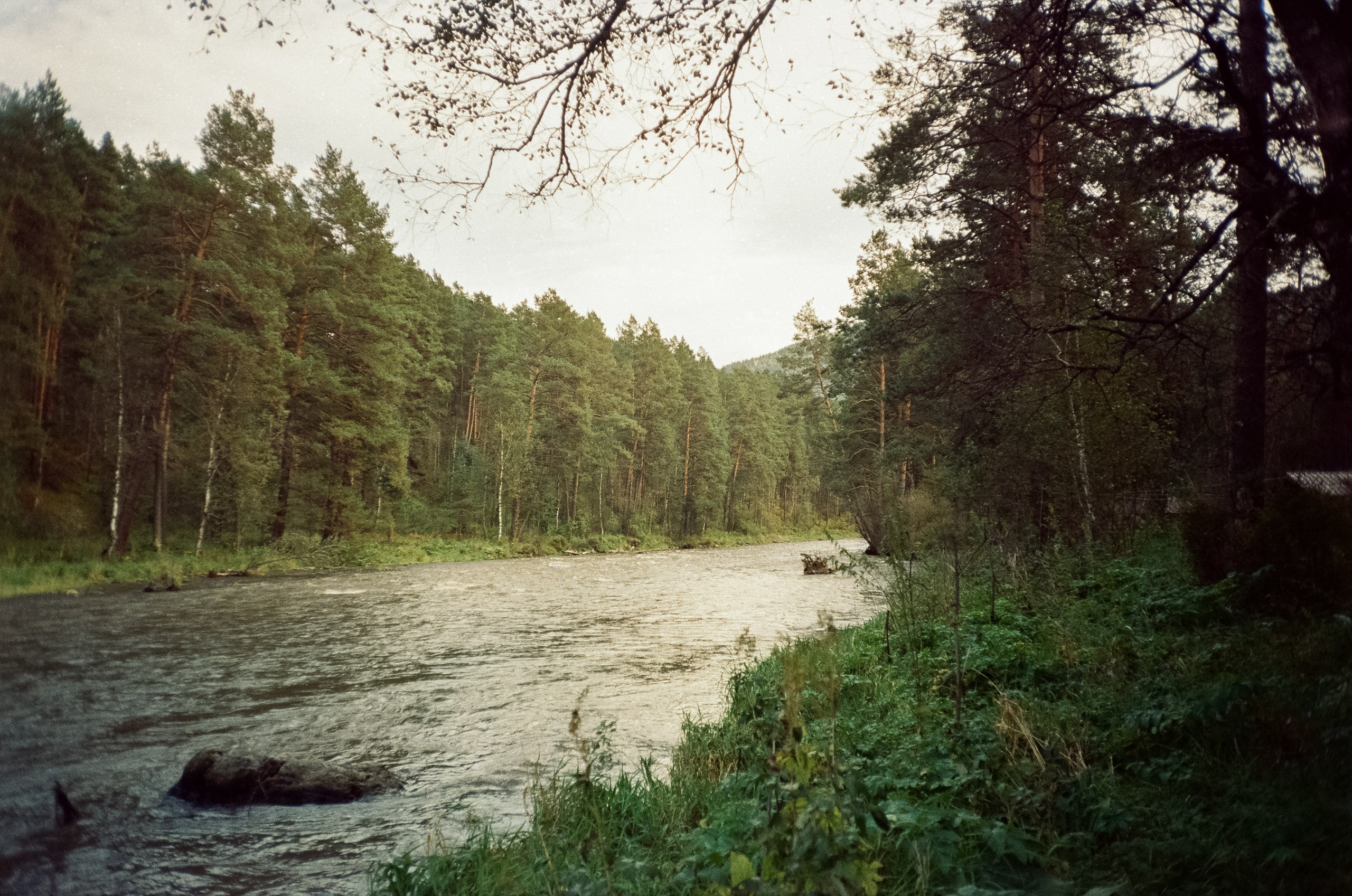 Горно-алтайский ботанический сад