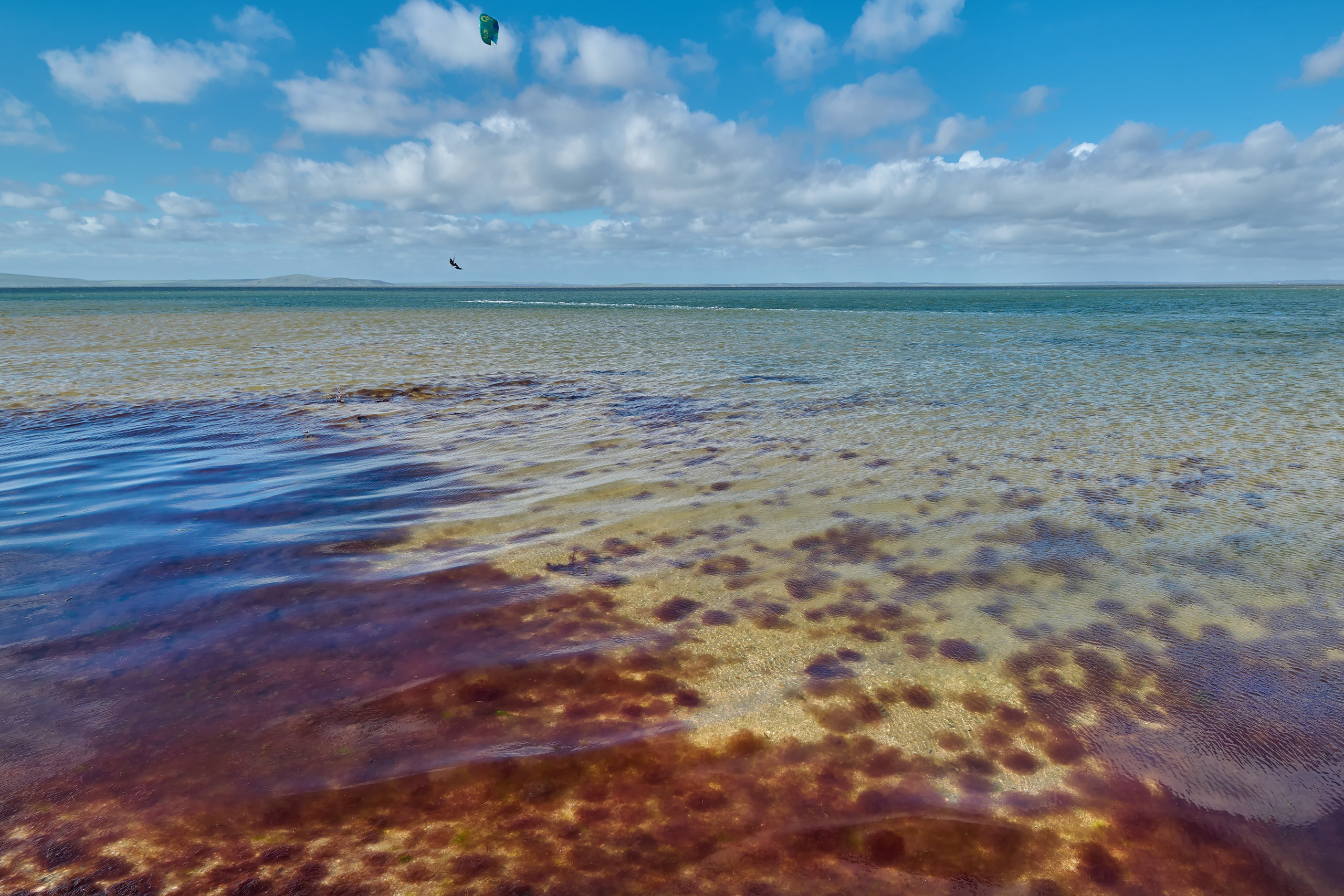 Лиман, отмель, красные водоросли
