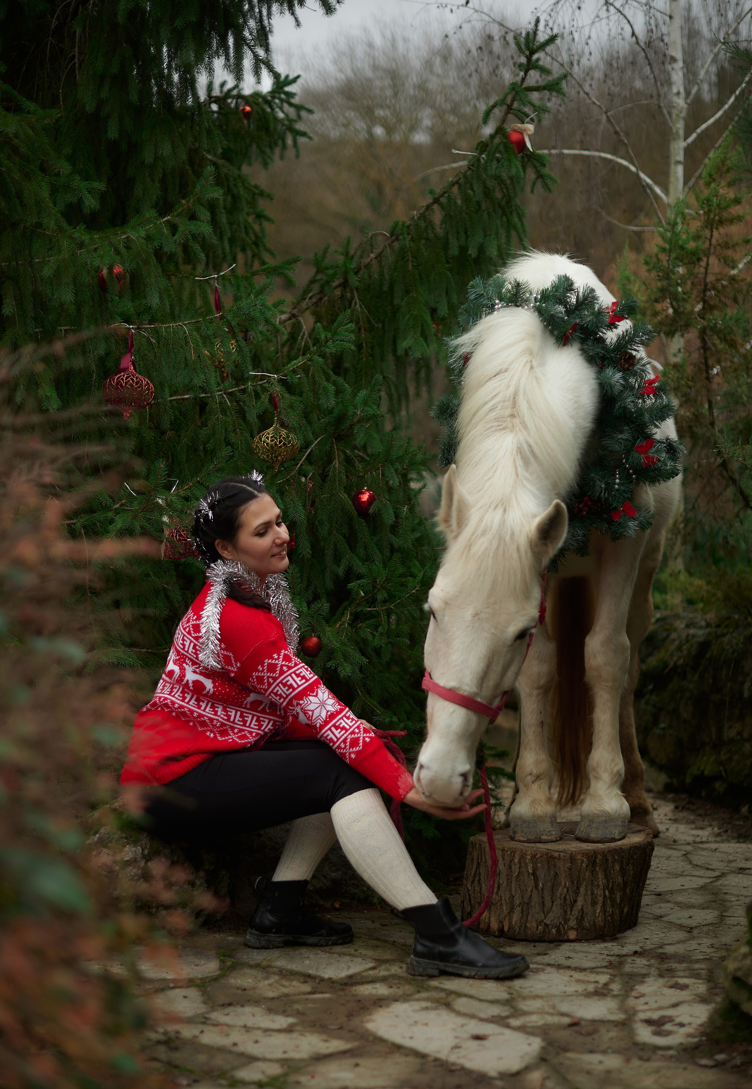 Диана, Гром и Мандаринка. Фотограф в Севастополе