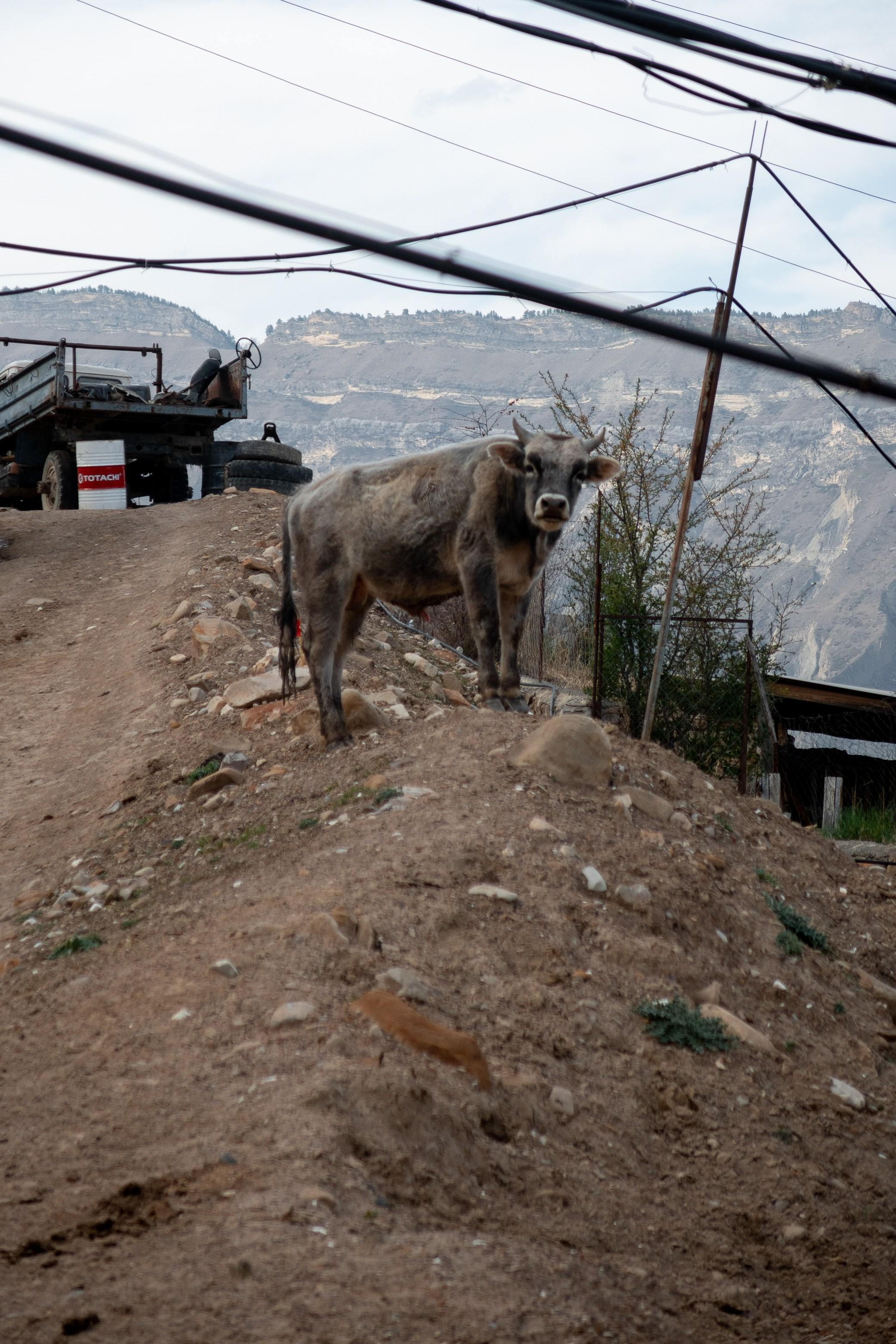 Поездка в Дагестан (село Гуниб) на съемку трейла Wild Trail. Павел Шарапов | Фотограф | Москва