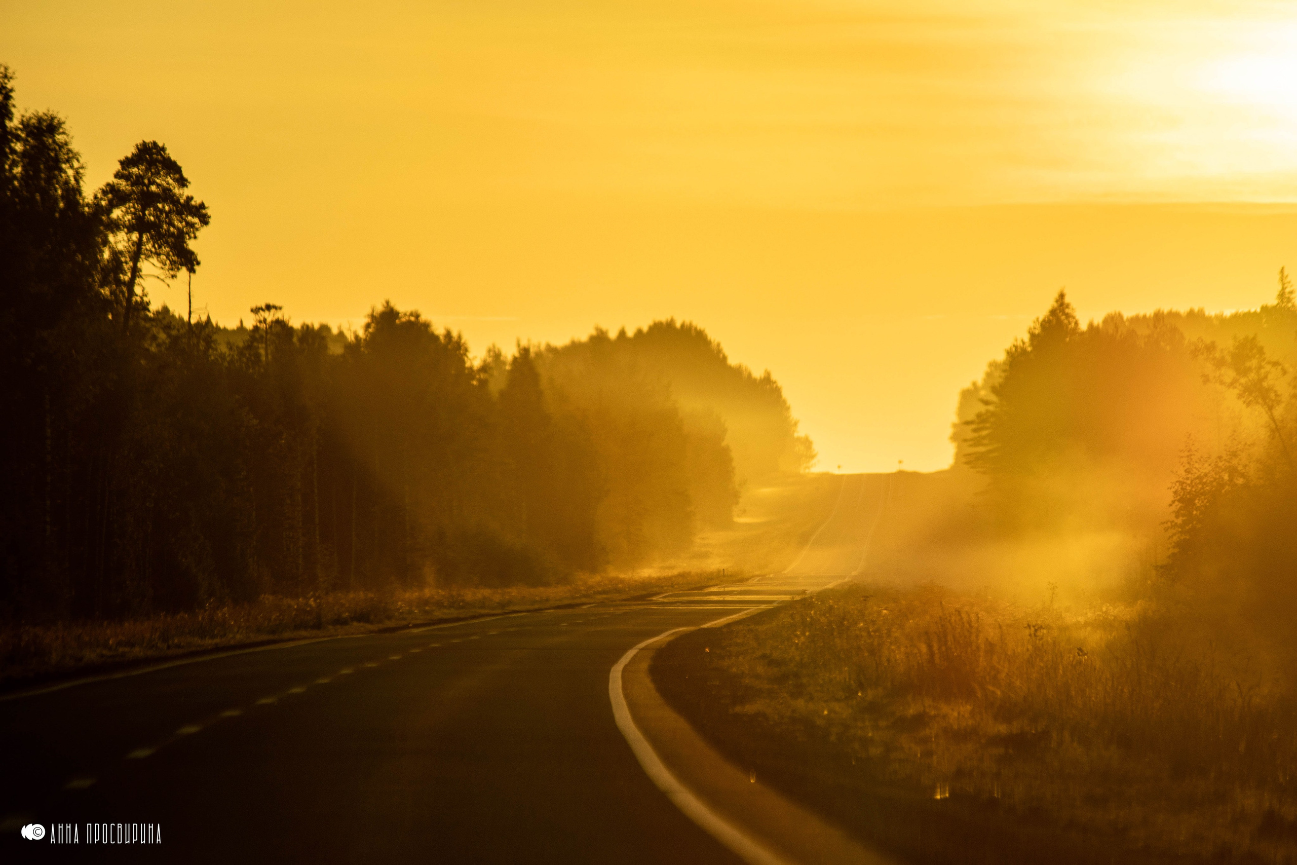 Сборная солянка. Ваш фотограф в Санкт-Петербурге Анна Просвирина