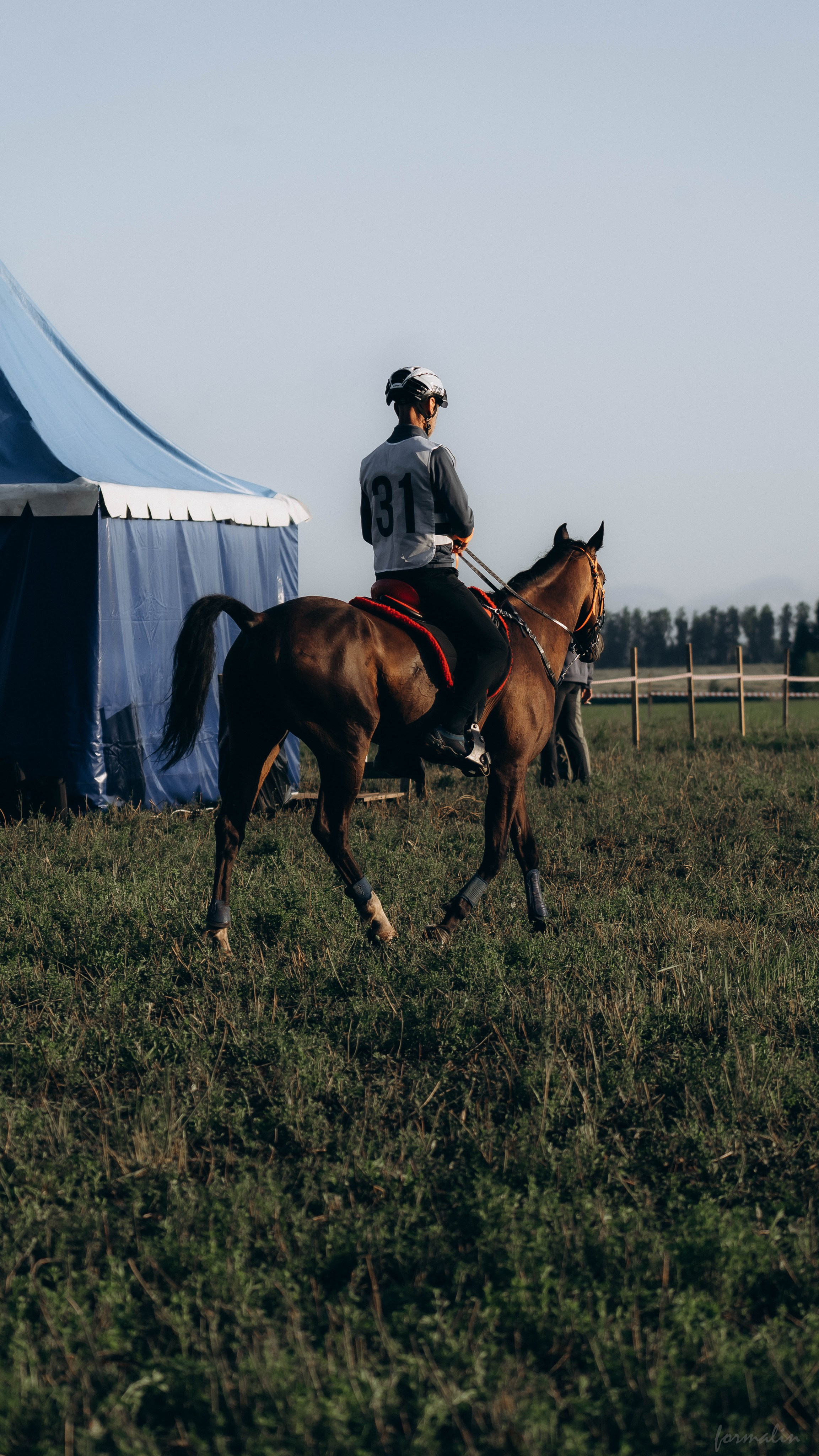 День Коня. Алиса Никитцова | Фотограф в Казани