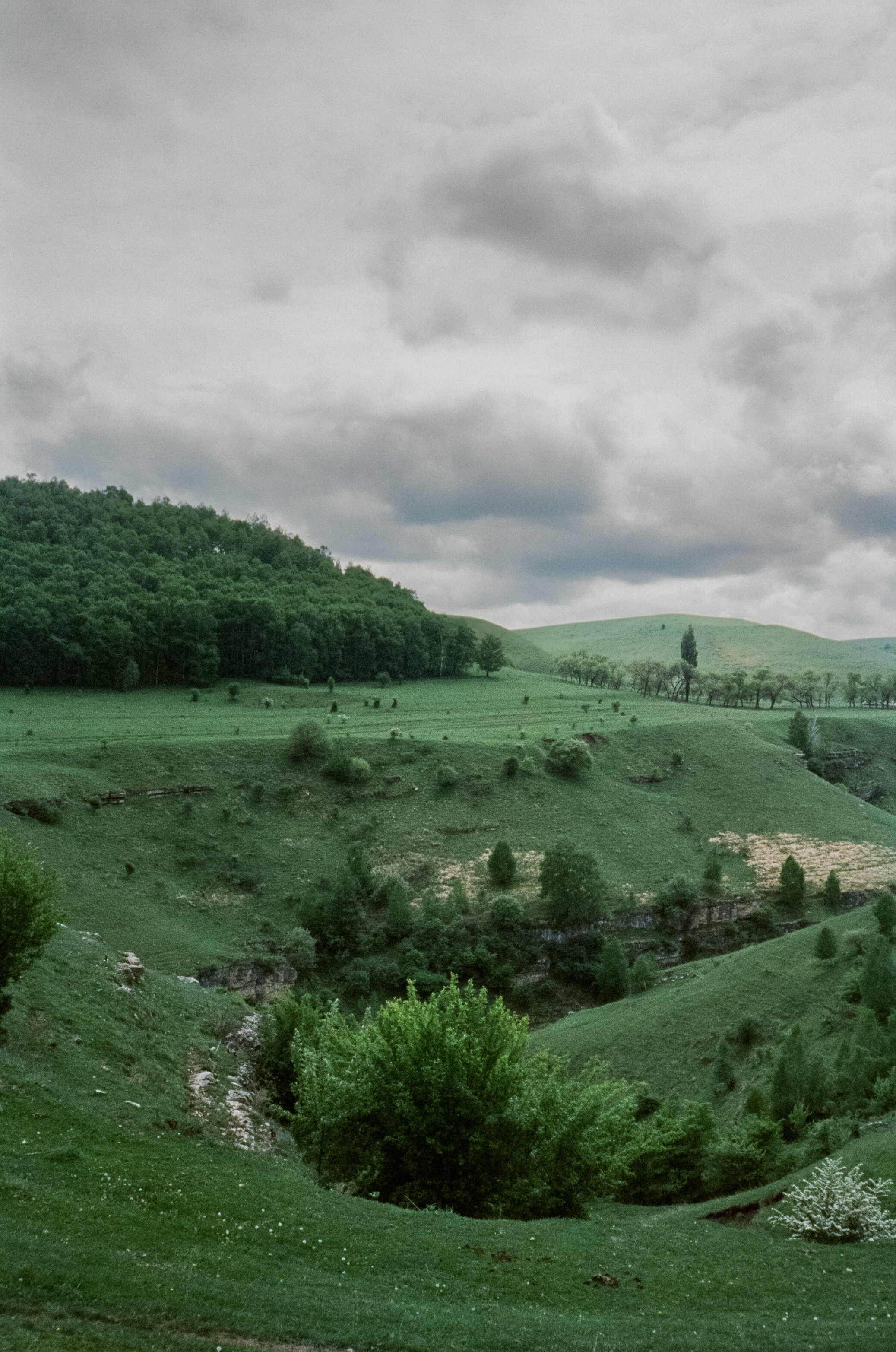 Музей Ярошенко, Кисловодск вечером / SFL 500T — Ricoh 500GS