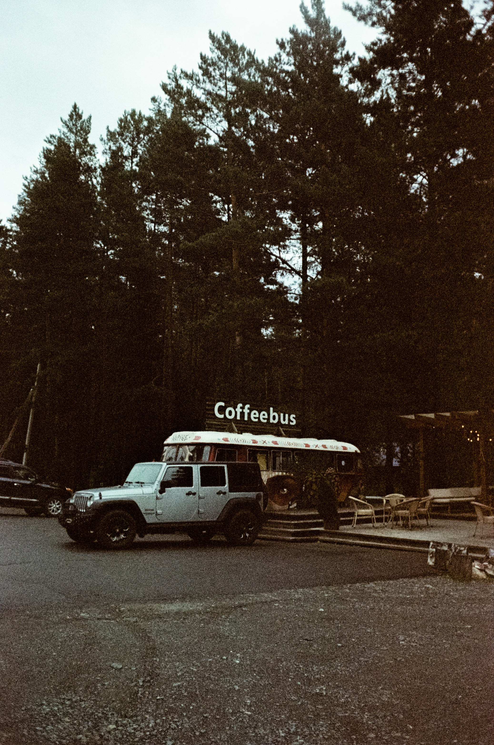 АЛТАЙ осень 2024 / Minox 35 GT (2) / Kodak Ultra Gold 400 24К (просрочка)