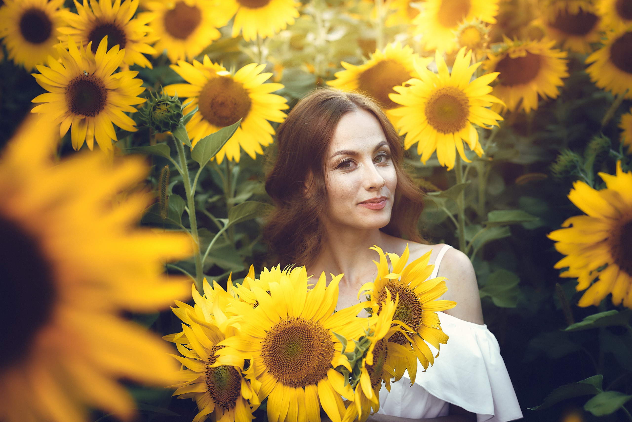 Ольга. Подсолнухи. Петр Ступень. Свадебное, семейное фото и видео. Москва. Краснодар