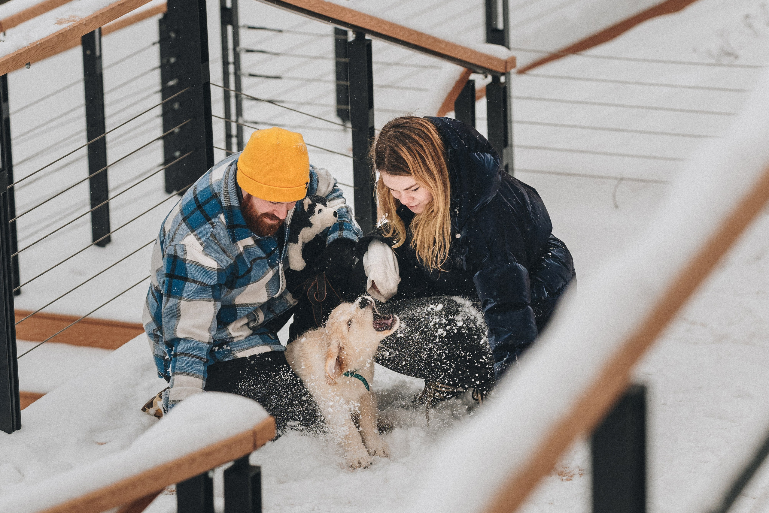 Sonia, Denis & Baggi. Natalia Finch Photography — Family, Kids & Pet Photographer in Chicago, IL