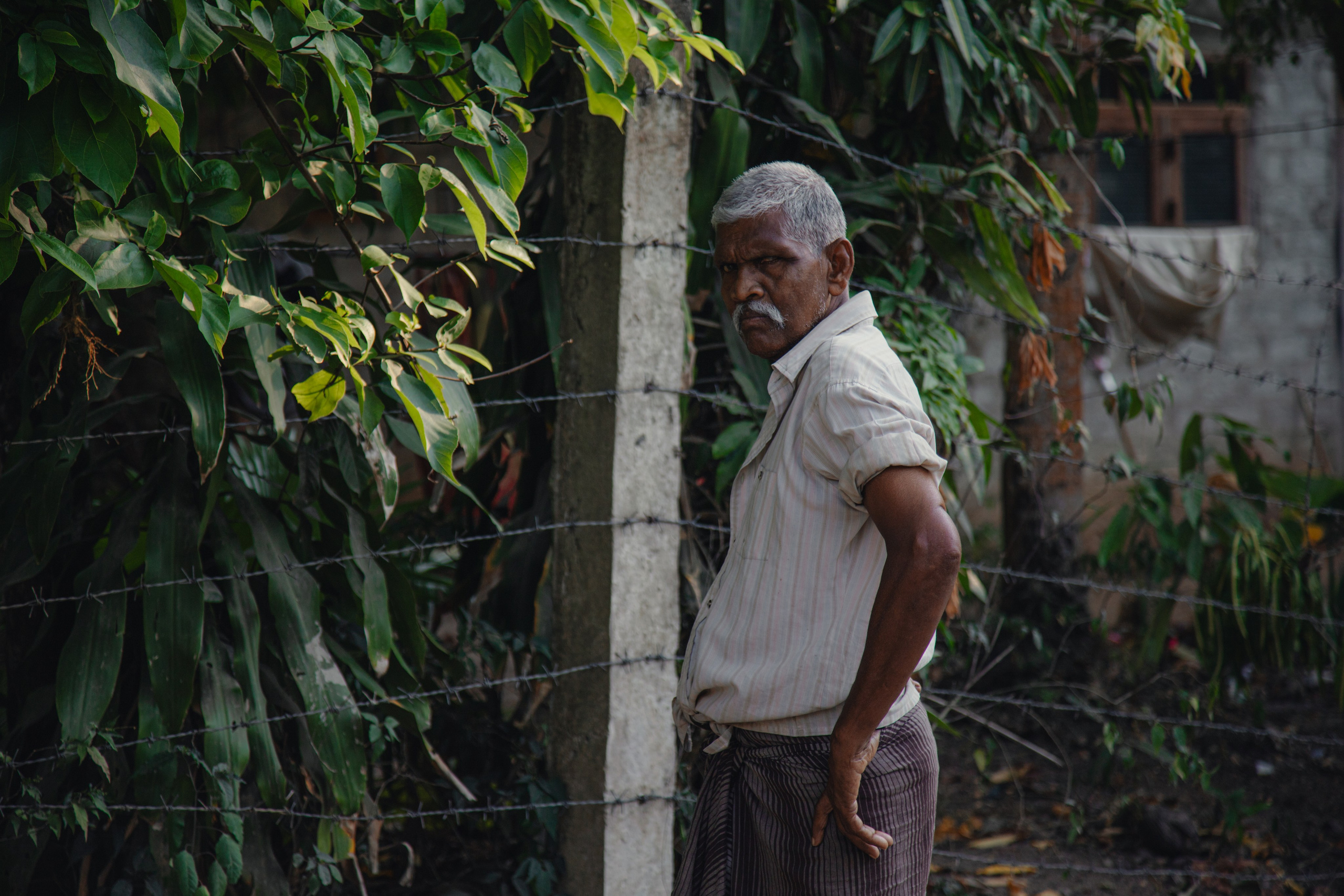 Шри-Ланка. Фотограф Юля Постнова
