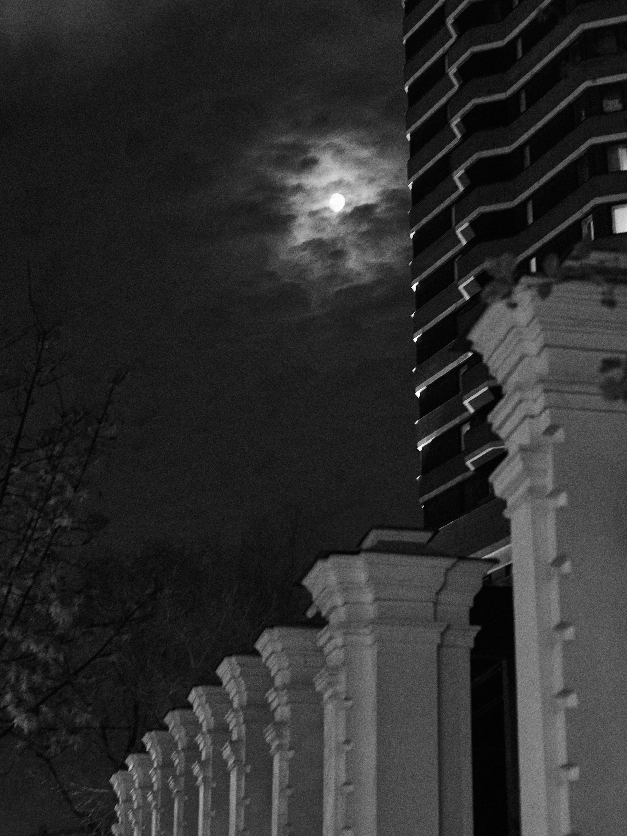 2025. Марфин. Фотограф