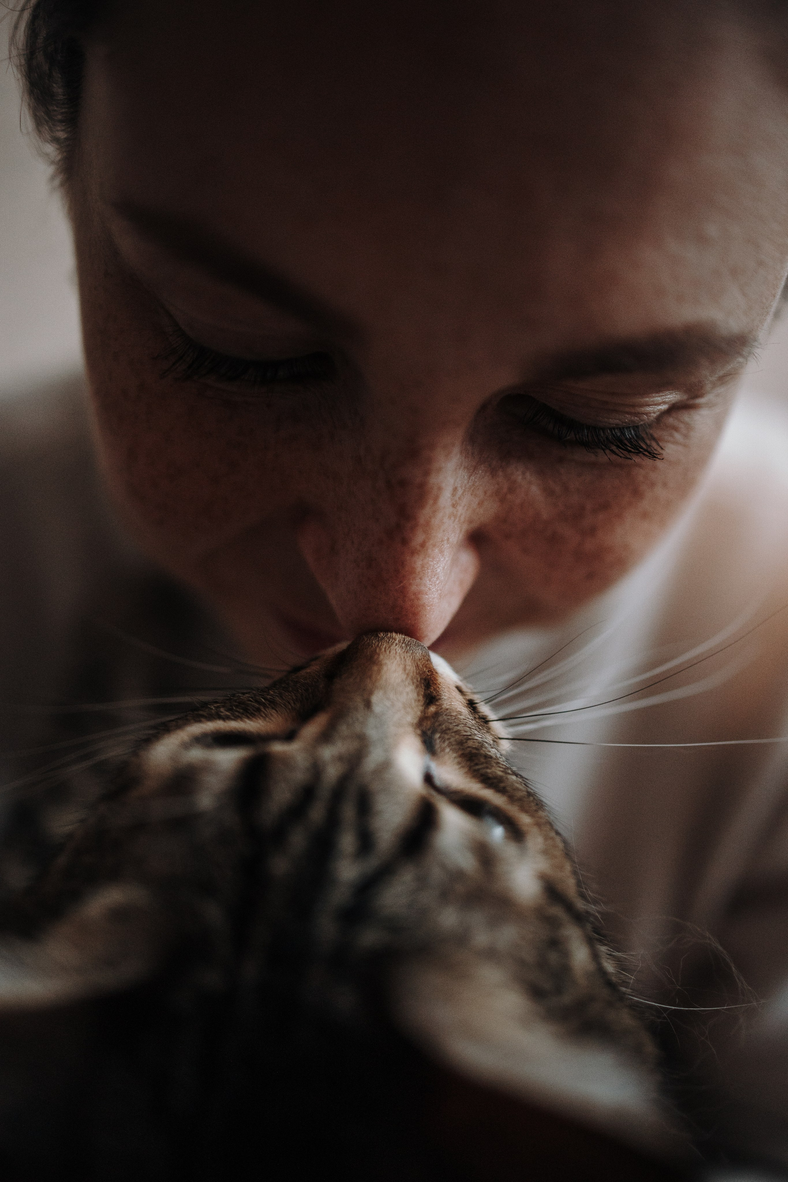 Мася и ее семья. Фотограф — Анималист | Санкт-Петербург