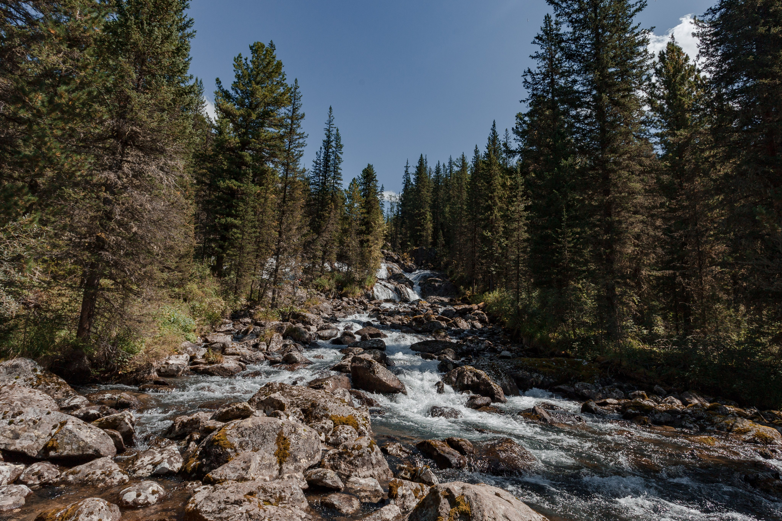 Катунский заповедник, Республика Алтай. Репортажный фотограф в Крыму Ксения Гасица