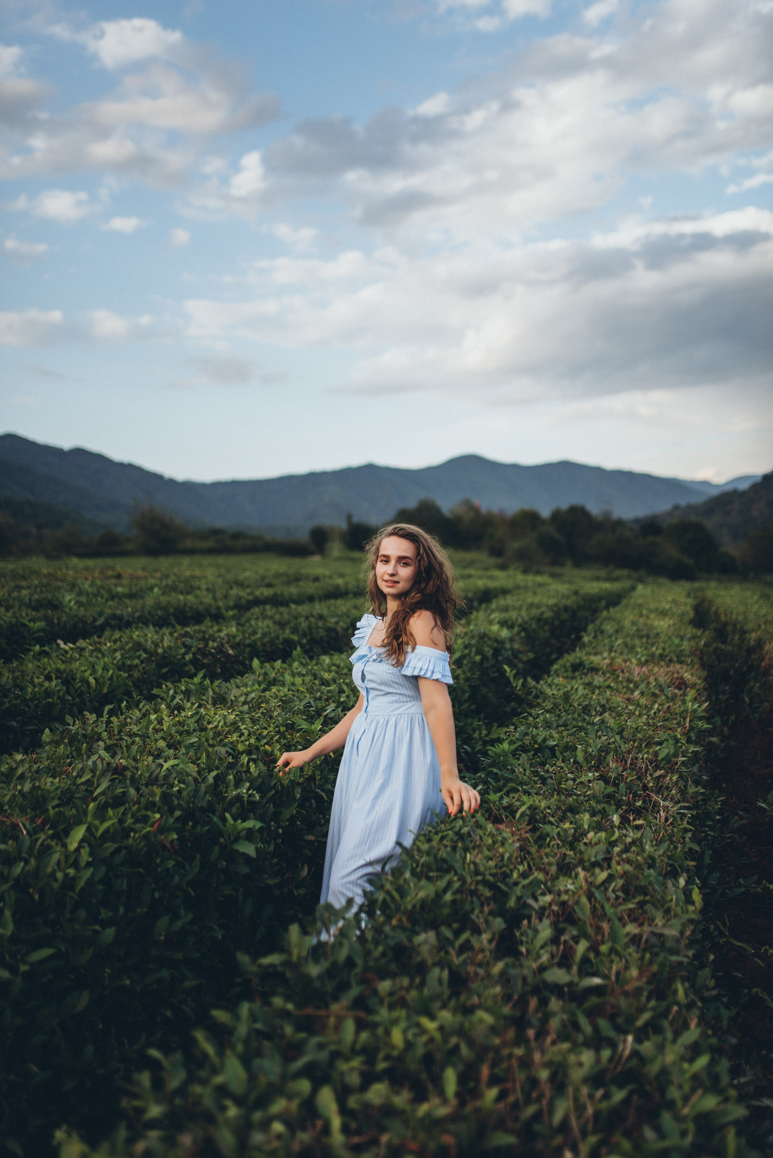Семейная фотосессия на чайной плантации Сочи. Фотограф в Сочи — Маргарита Поганова