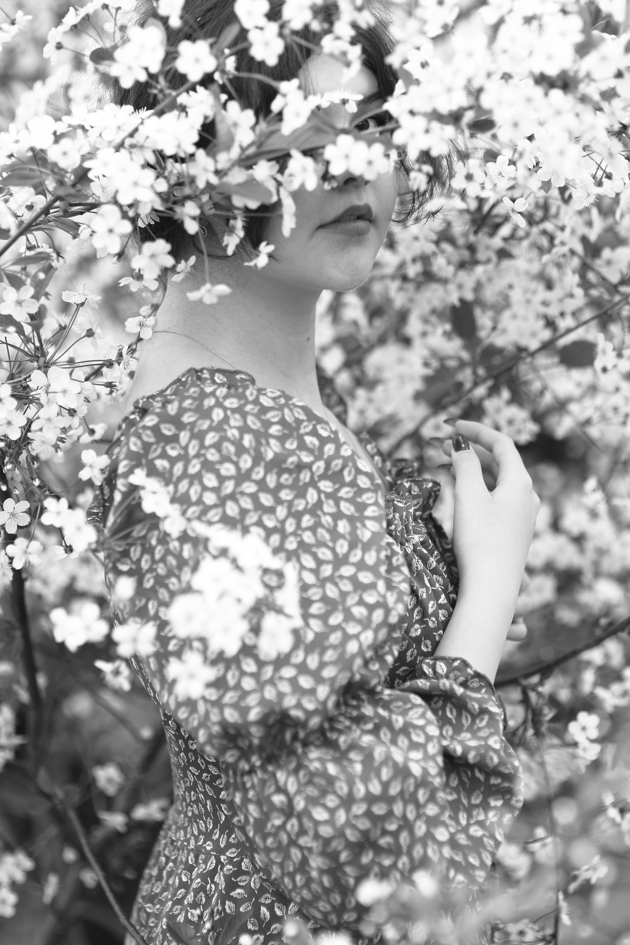 Девушка в вишневых цветах. Свадебный и репортажный фотограф в Ярославле и Санкт-Петербурге Роман Микрюков
