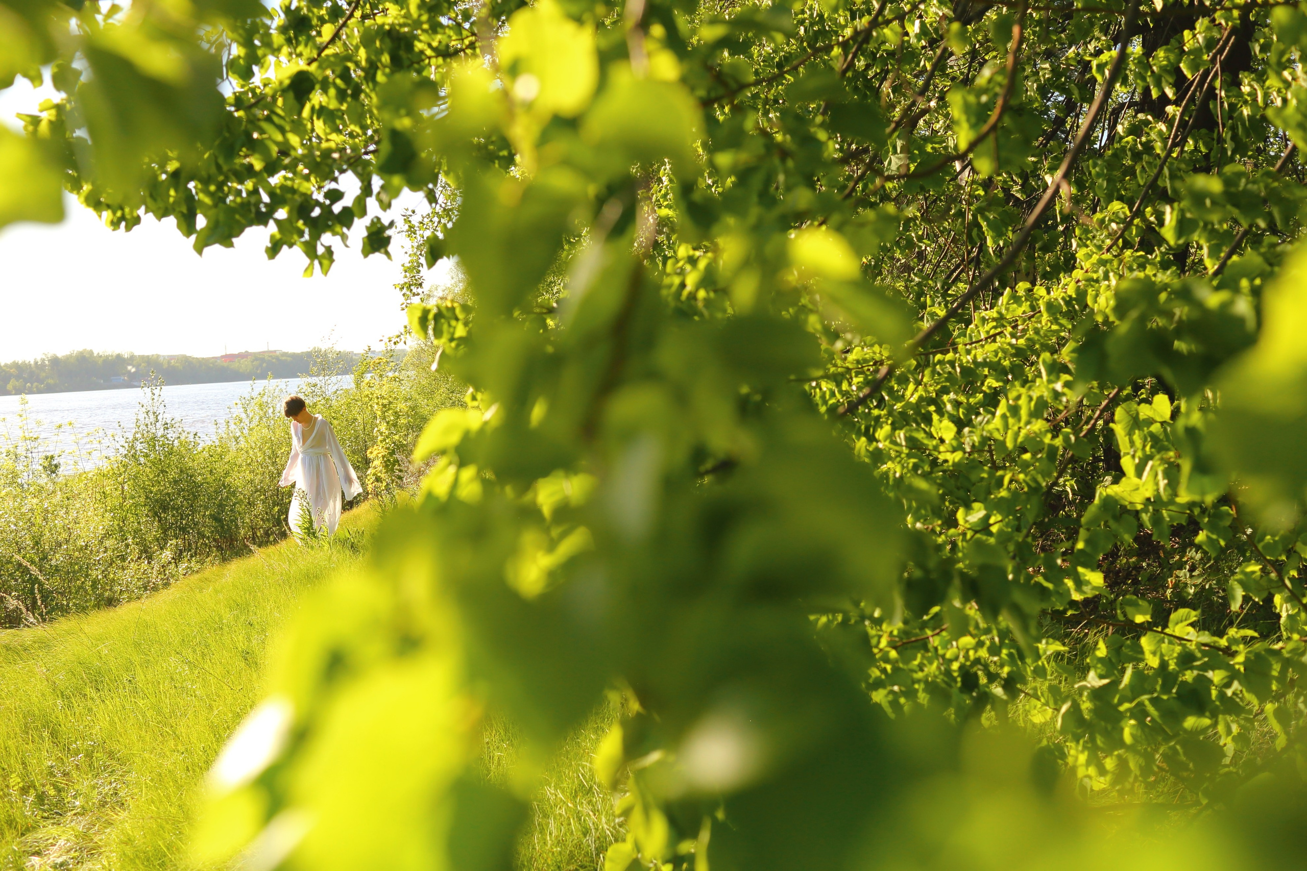 Свежесть. Свадебный и репортажный фотограф в Ярославле и Санкт-Петербурге Роман Микрюков