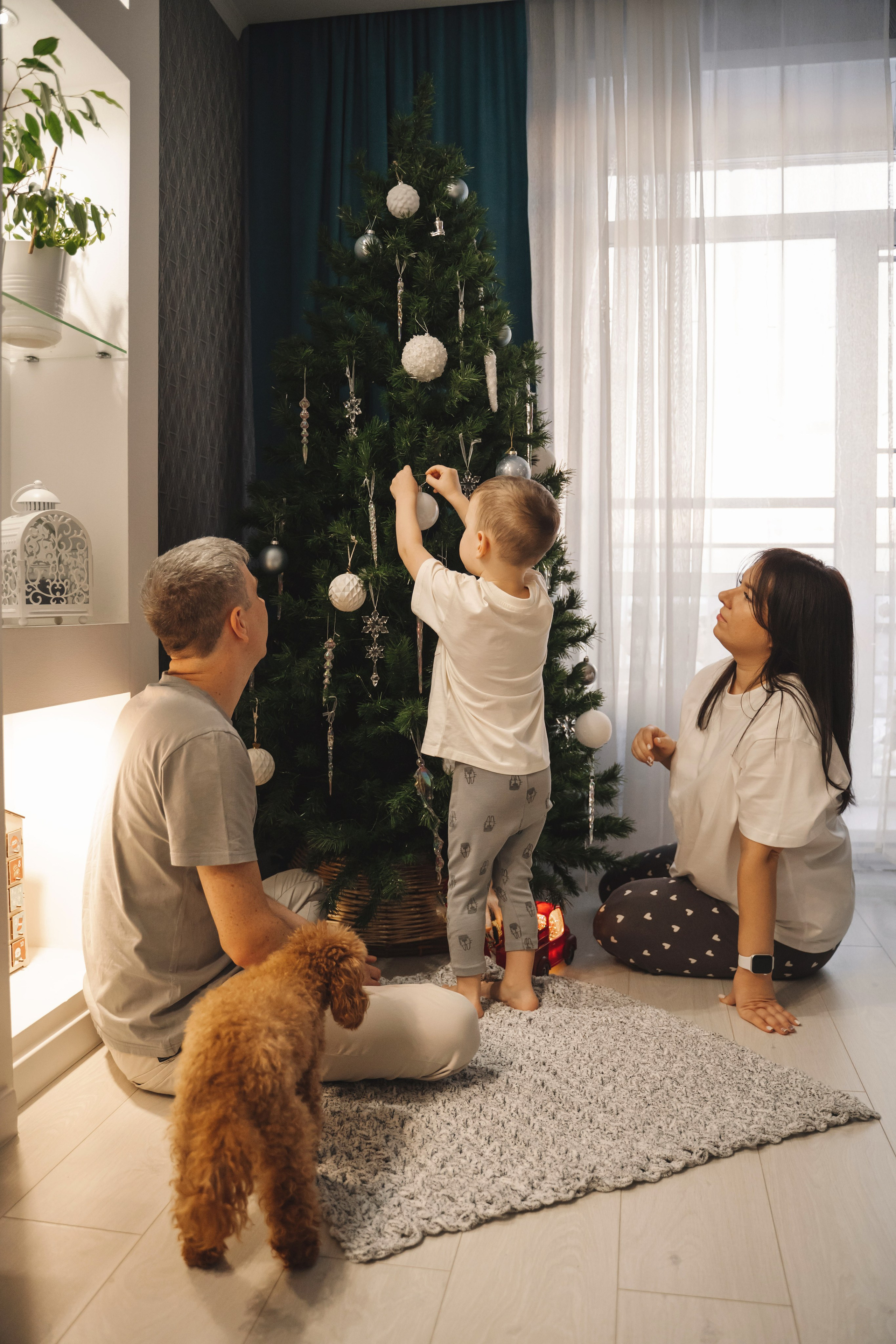 Предновогодний вечер. Главная