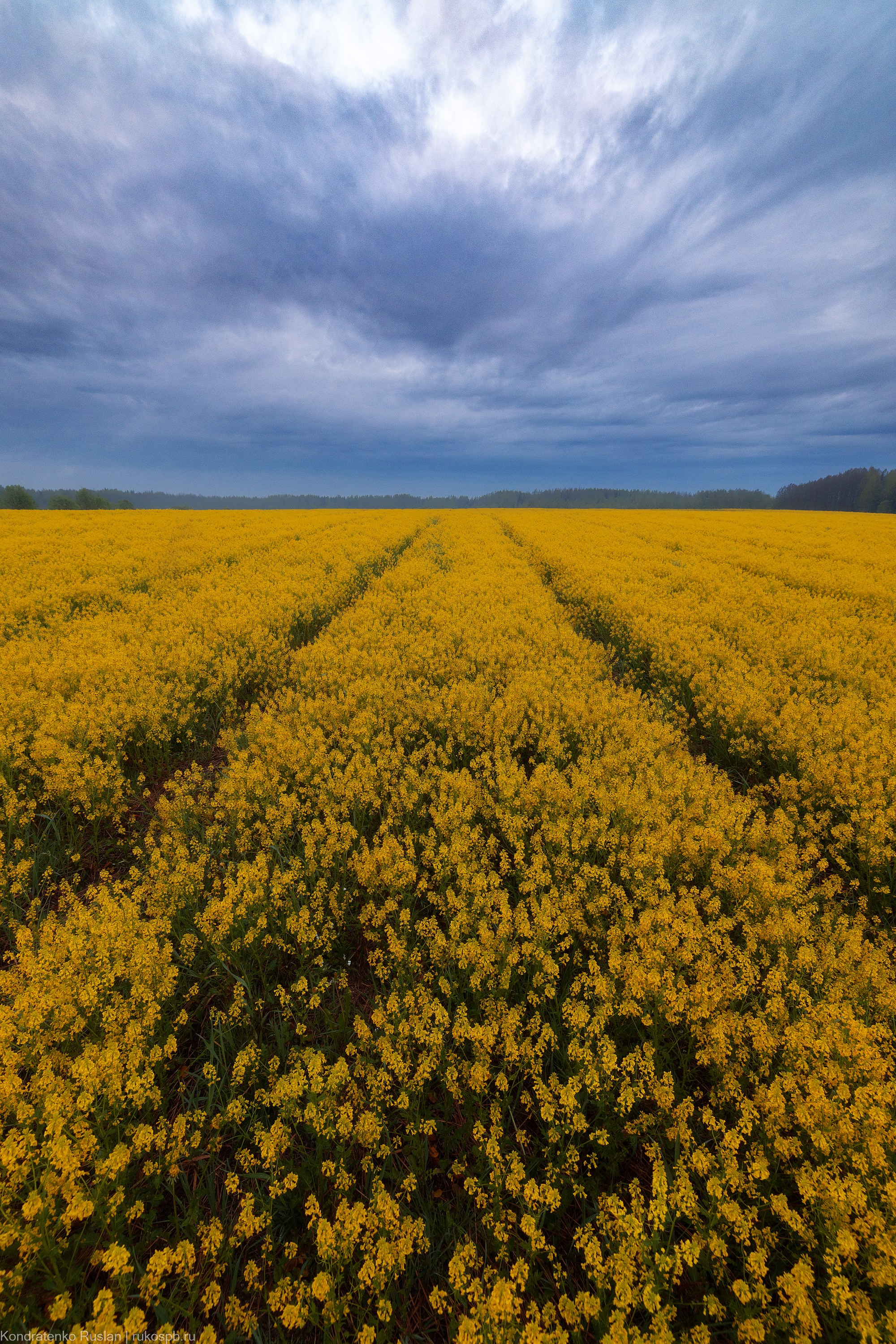 Ленинградская область. Архитектурный и пейзажный фотограф Кондратенко Руслан, Санкт-Петербург