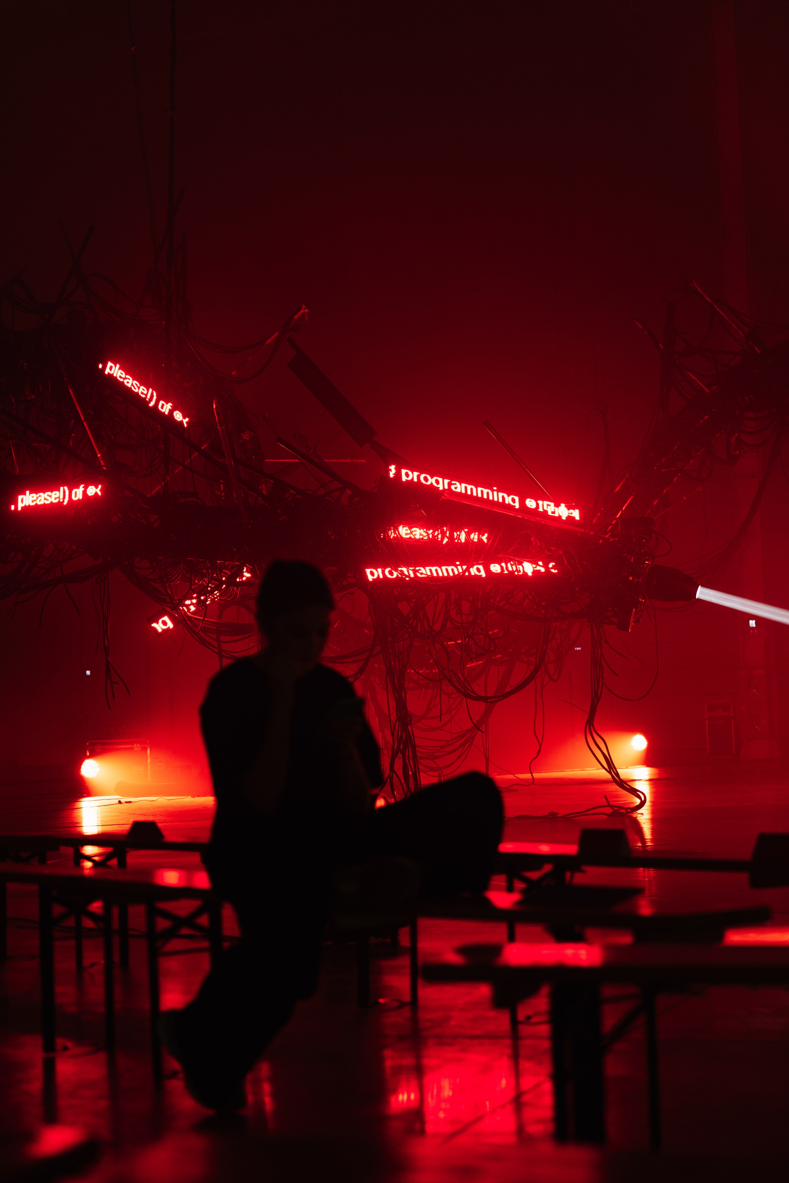 PERFORMA, The Hour of the Horse. @tomrus: Рустам Шагиморданов — фотограф