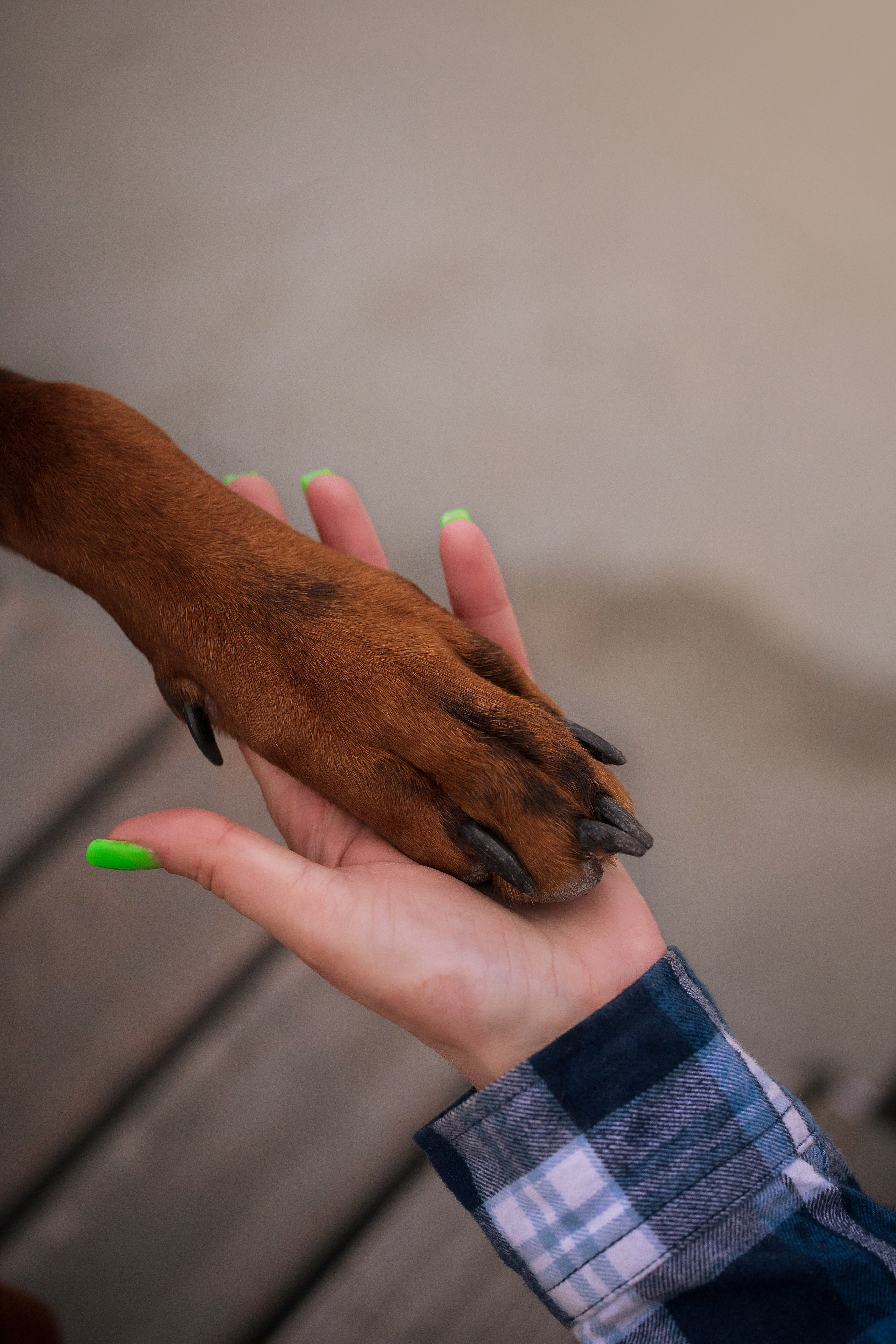 Оля и Кайрат. Фотограф — анималист Владивосток, Алина