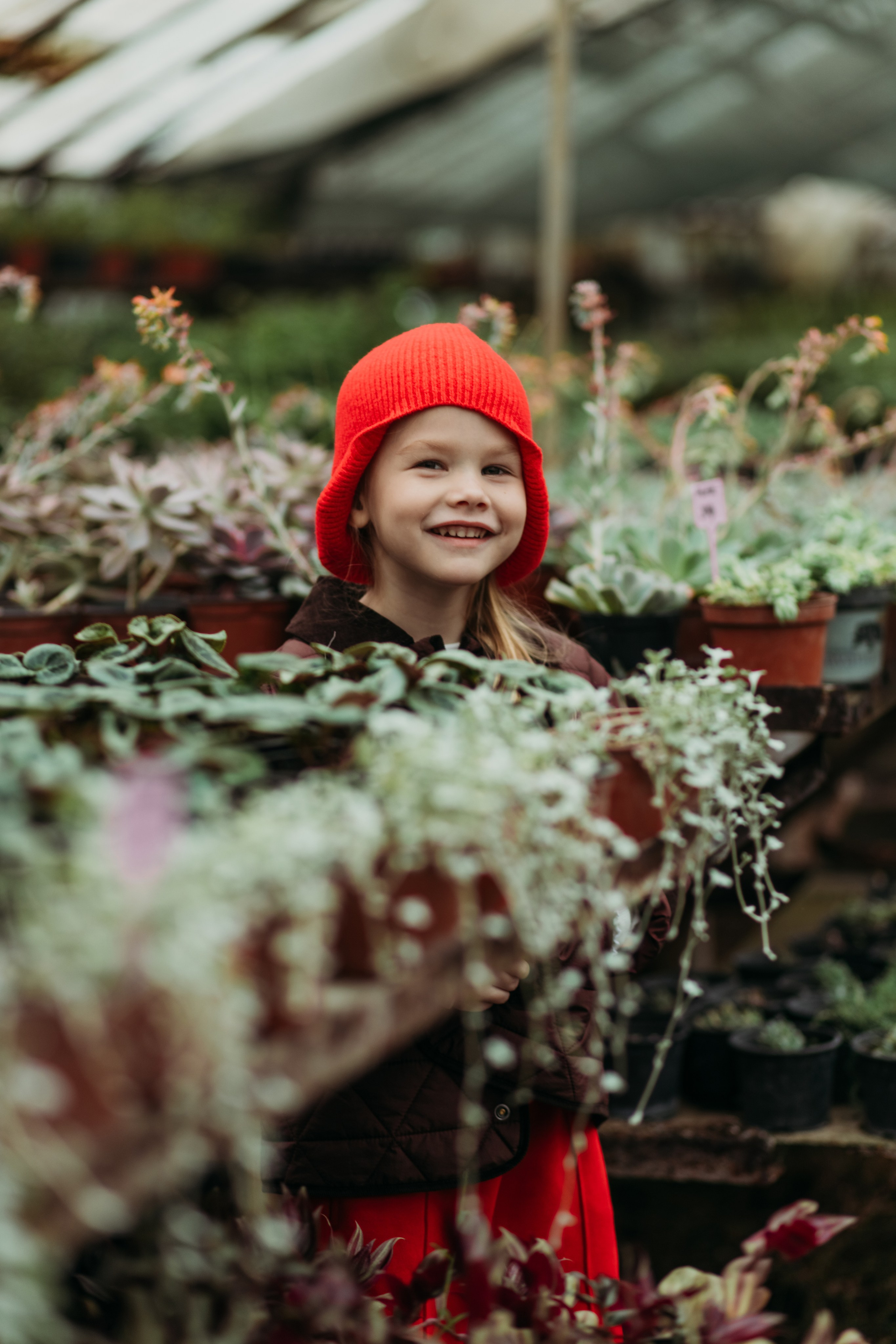 Теплица мацеста. Фотограф Сочи Татьяна Зорина