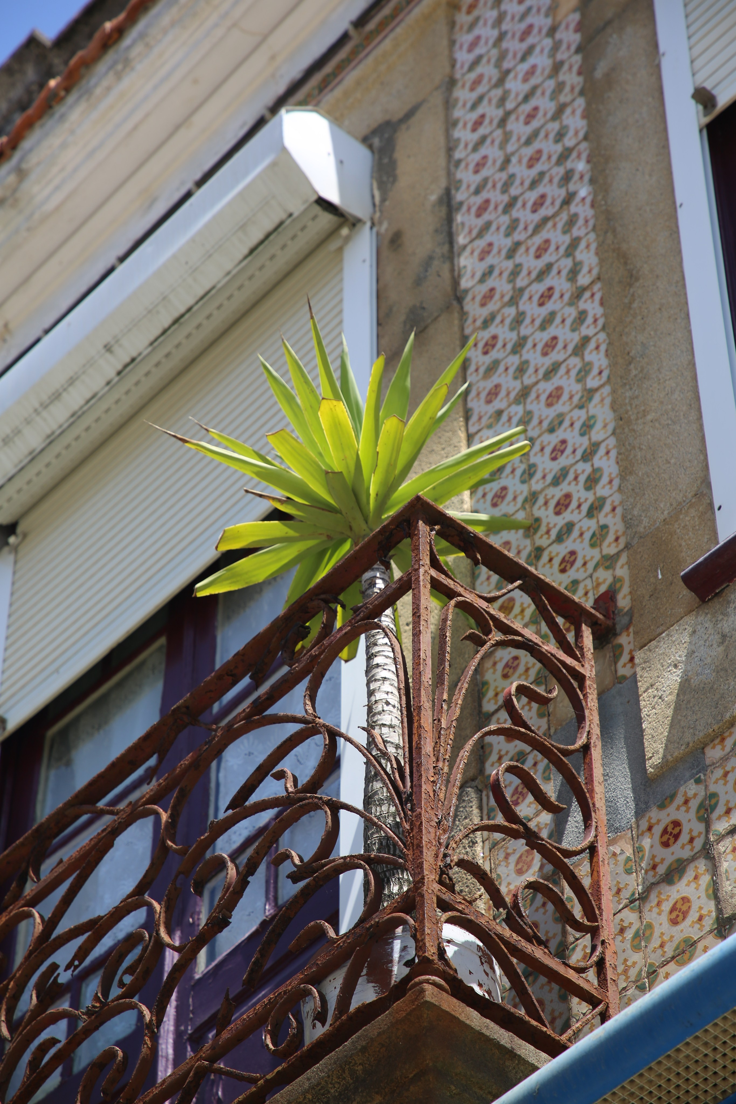 Espihnio, Portugal. Andrey Filippov Photographer