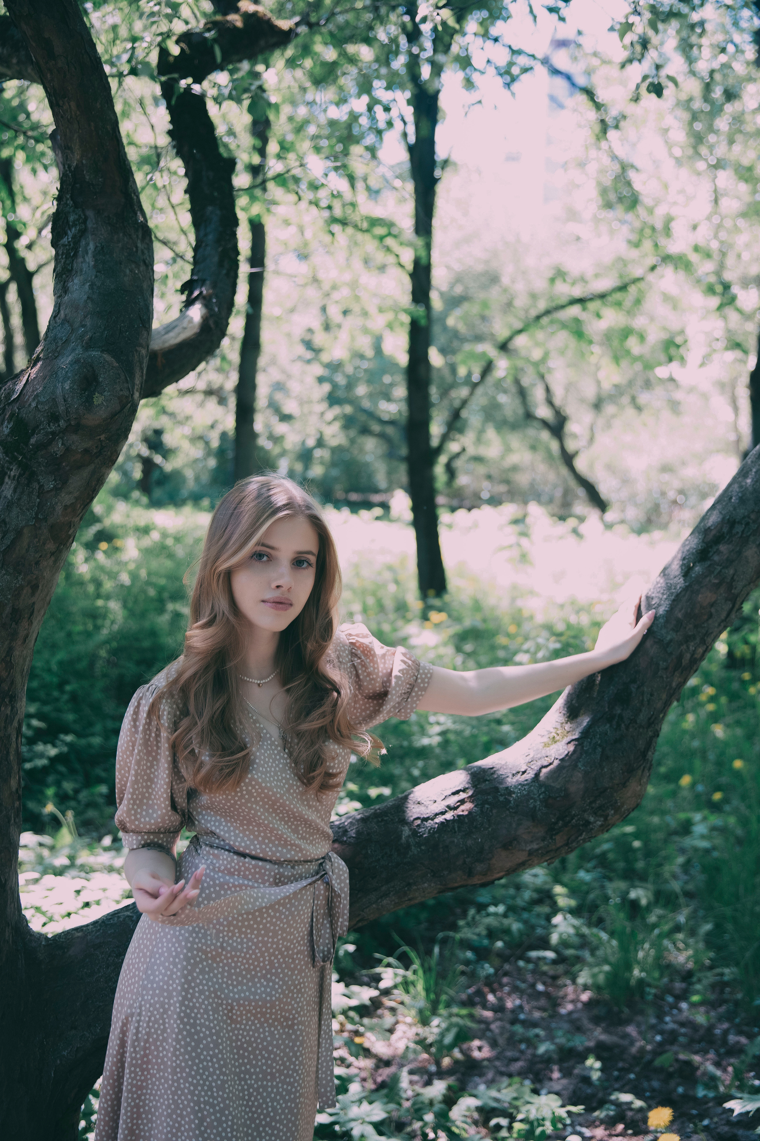 Ангелина. Фотограф в Москве Шаганова Нина