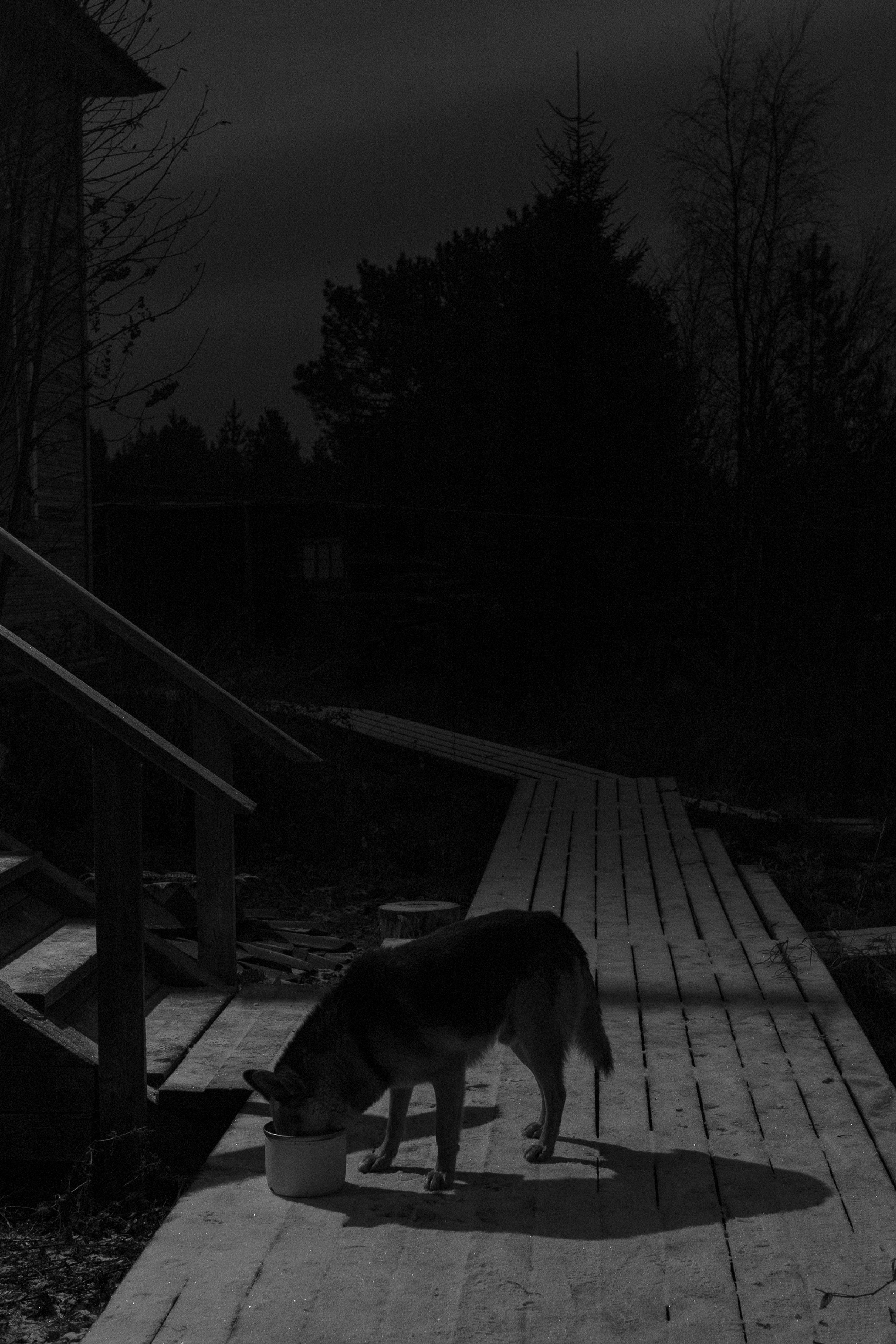 Метеостанция Кемь-Порт. Портретный фотограф в Москве Тимур Мансуров