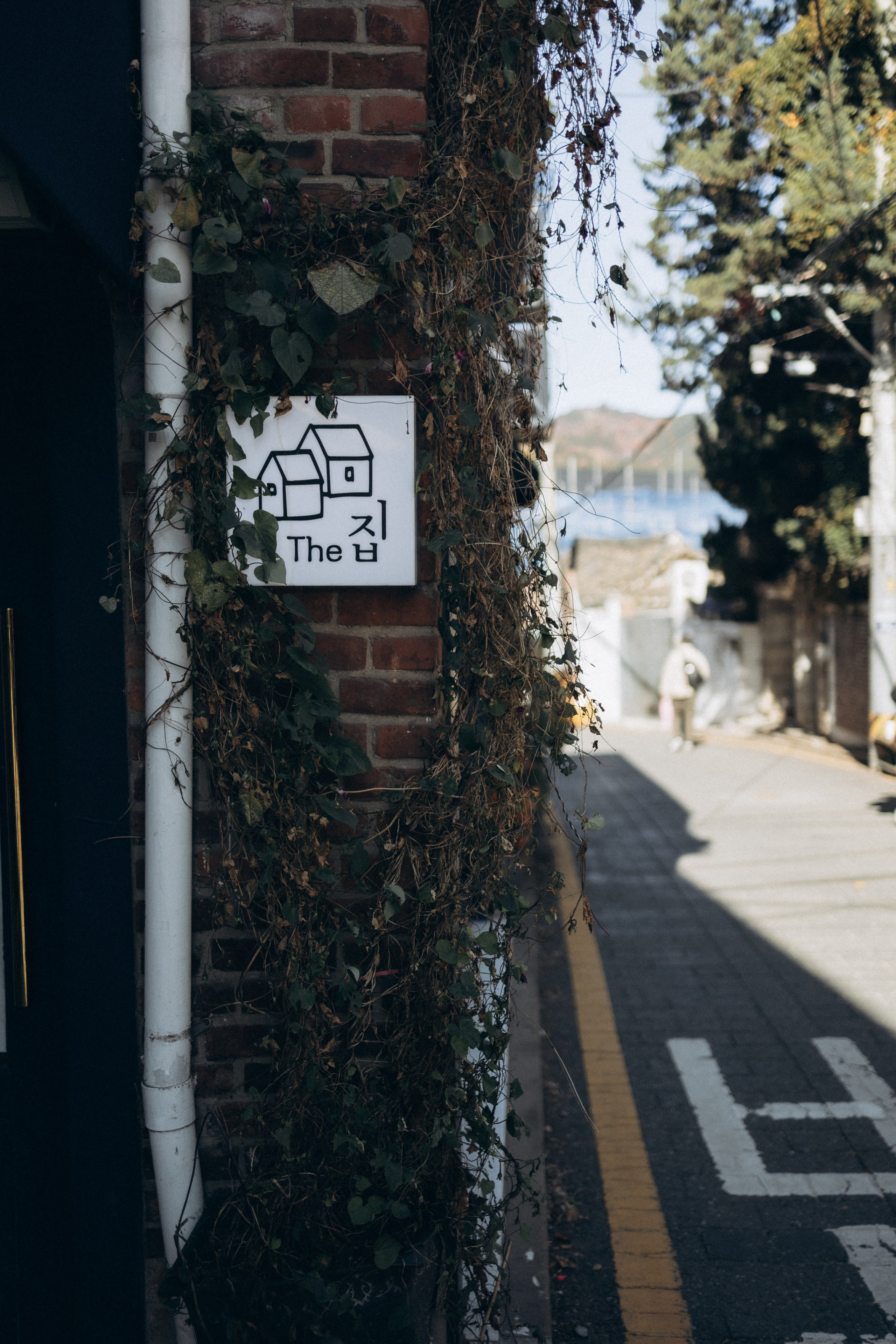 Фотосессия Маши и Саши в ханбоках. Фотограф Артем Бросов в Санкт-Петербурге и Дубае