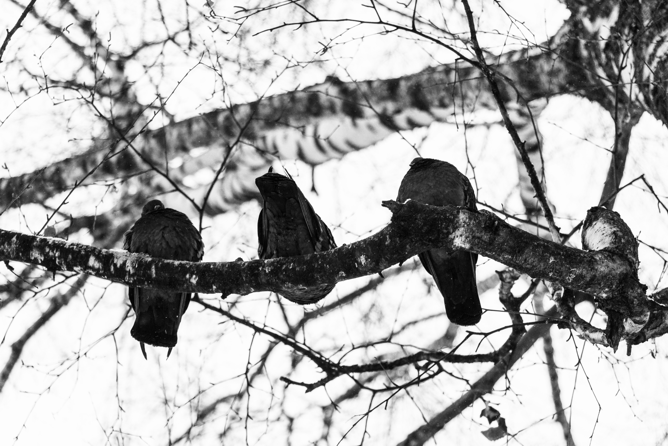 Уфа. Фотопрогулка. Олег Романов. Мастер фото по спорту