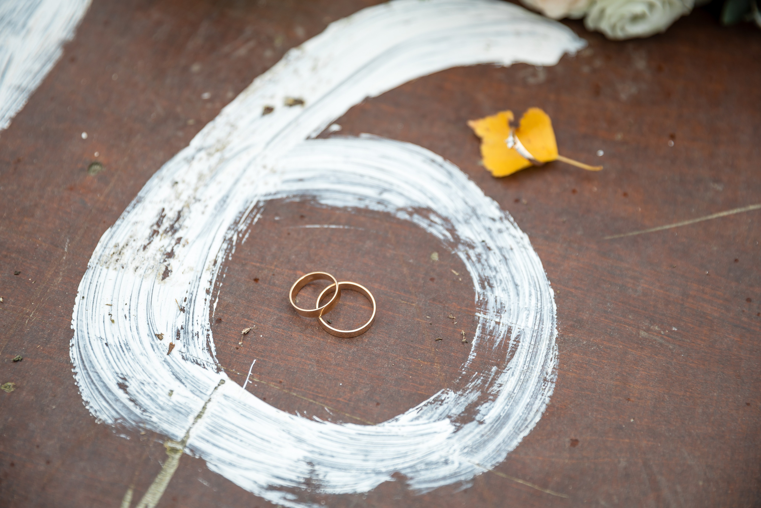 Алексей и Анастасия. Фотограф FOTOBANKA