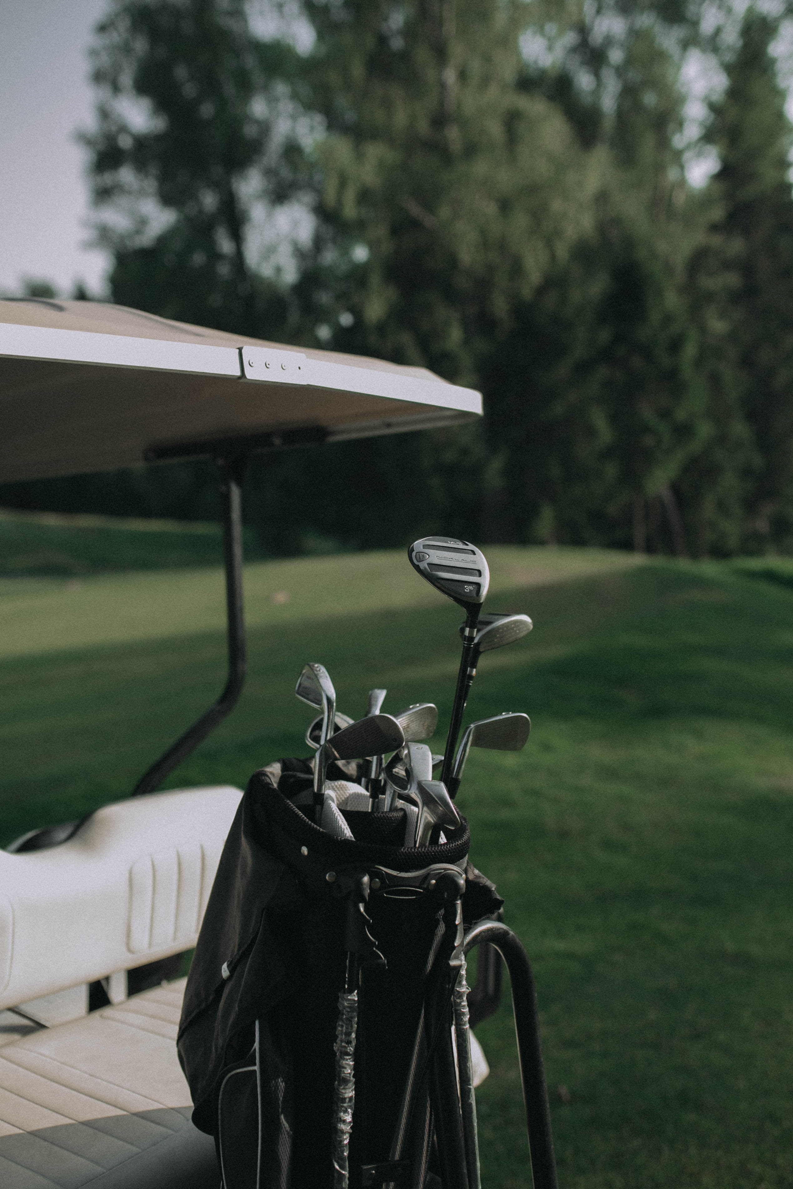 Alina & Georgy Golf Wed