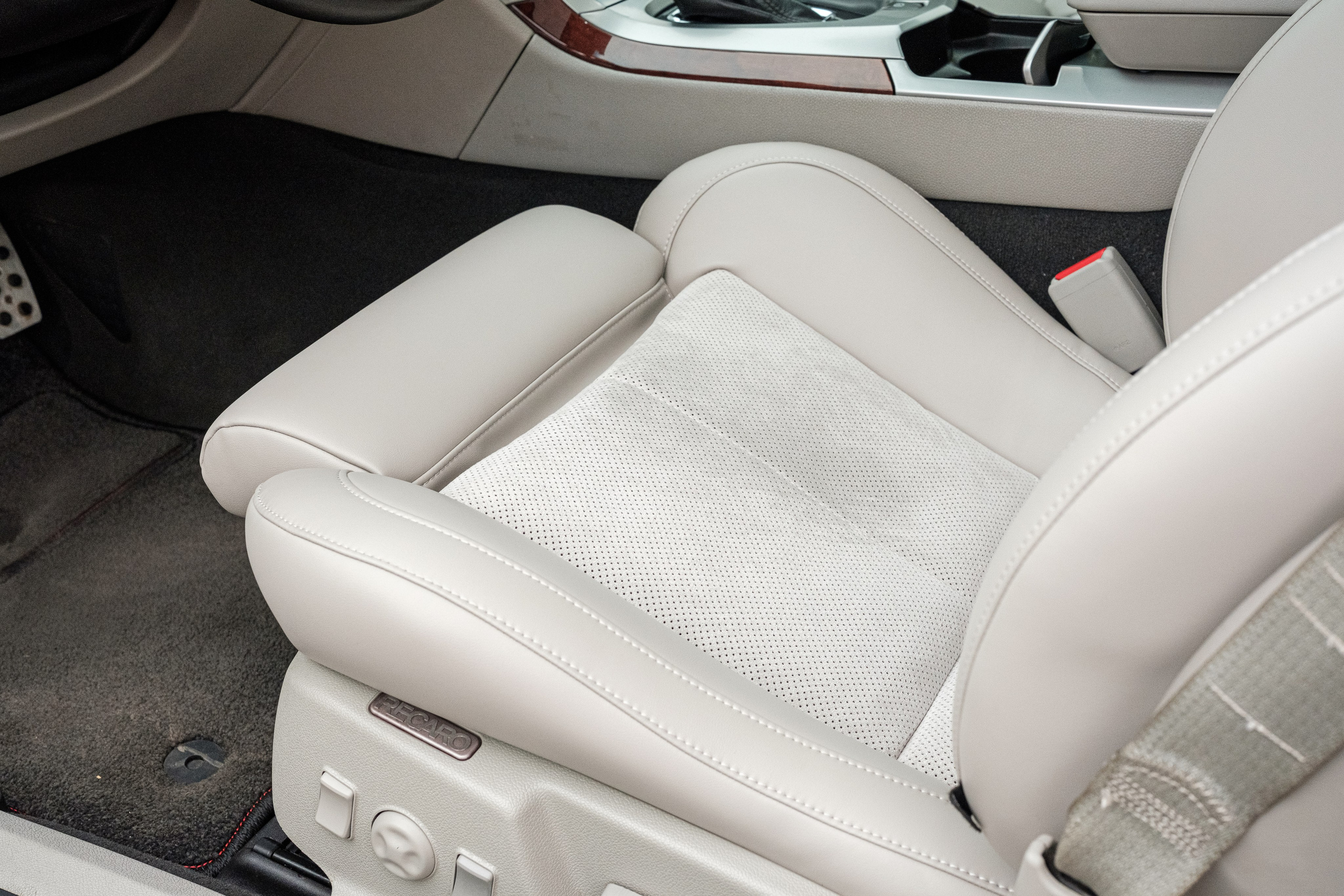 Кэдди. Алексей Никифоров фотограф Москва, Химки