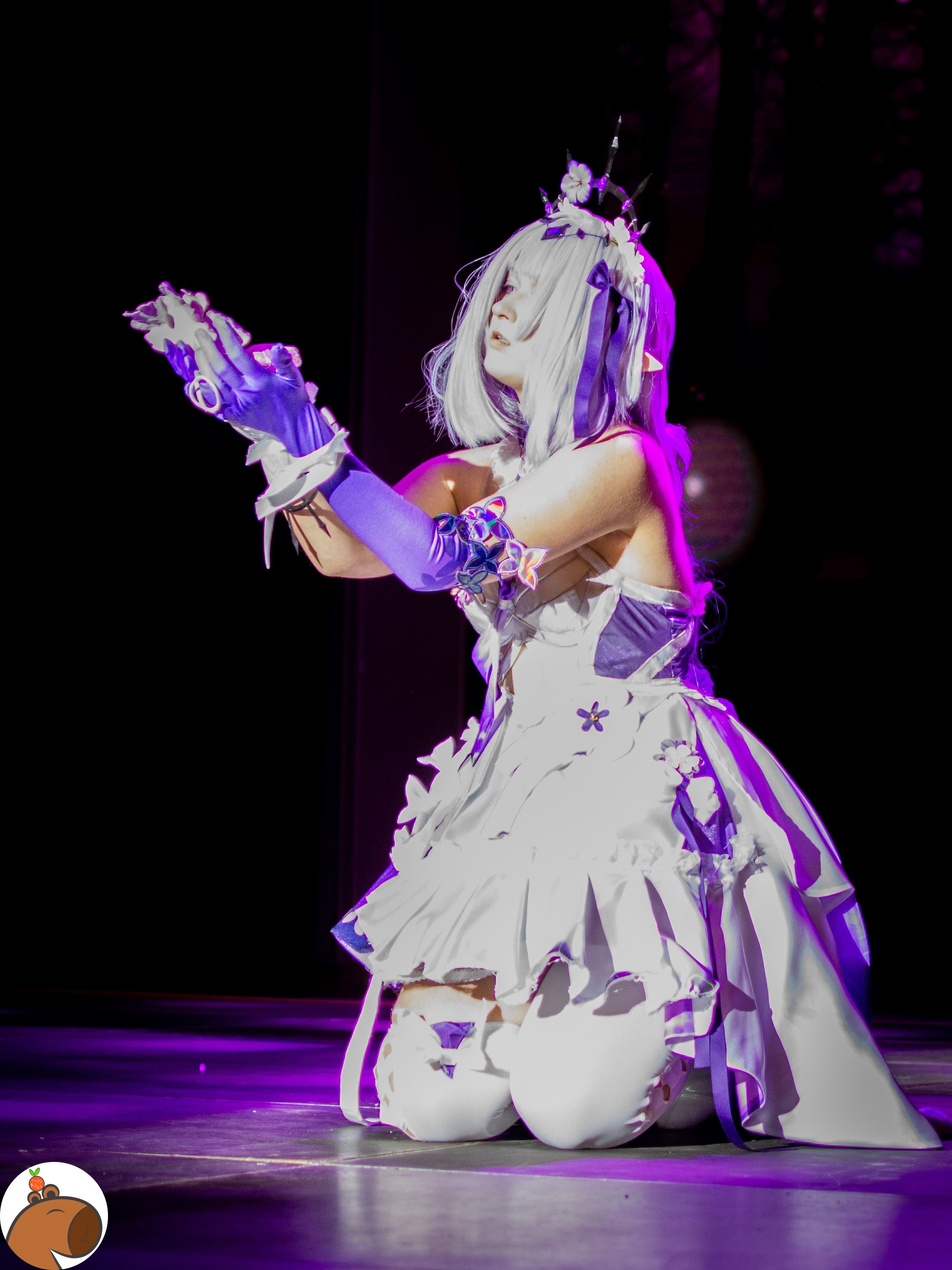 5 ночей с Капибарой. Уголок Капибарки