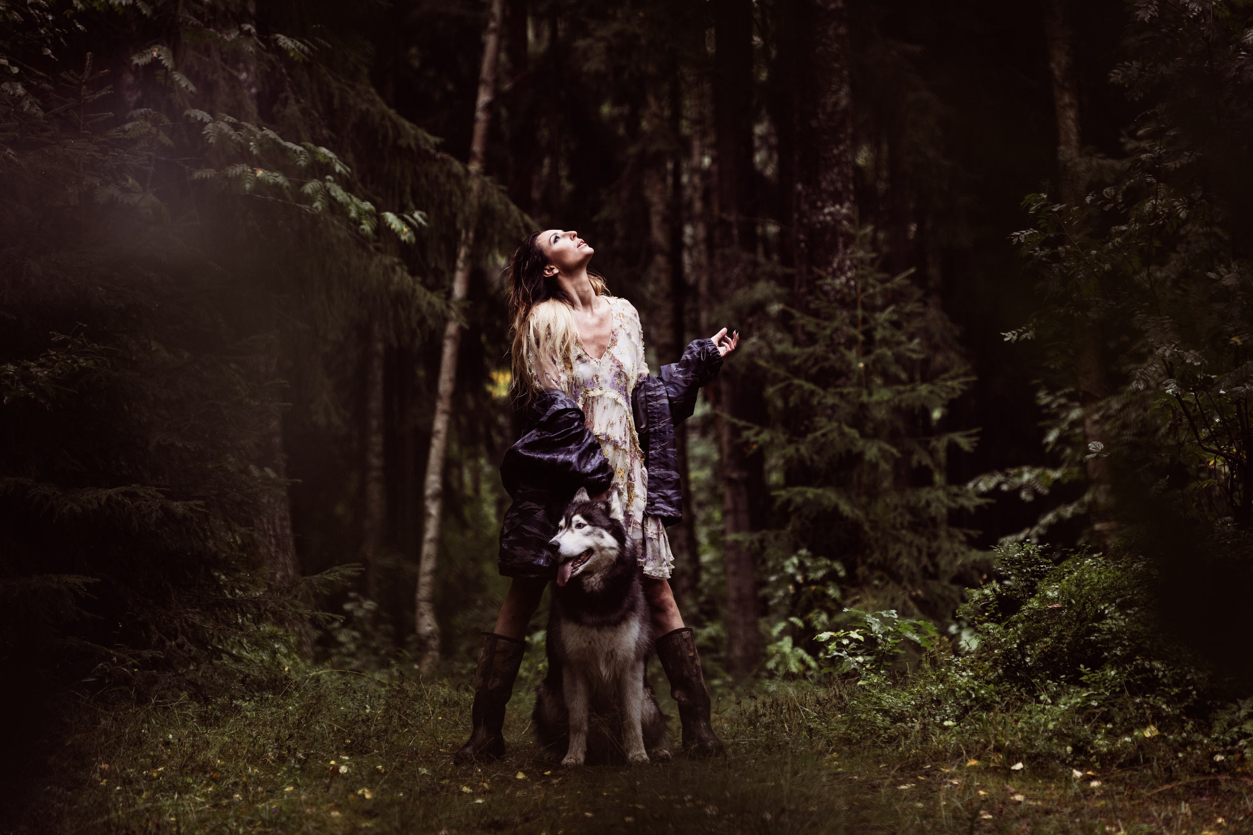 Фотосессии с животными. Добродеева Алла фотограф, Москва