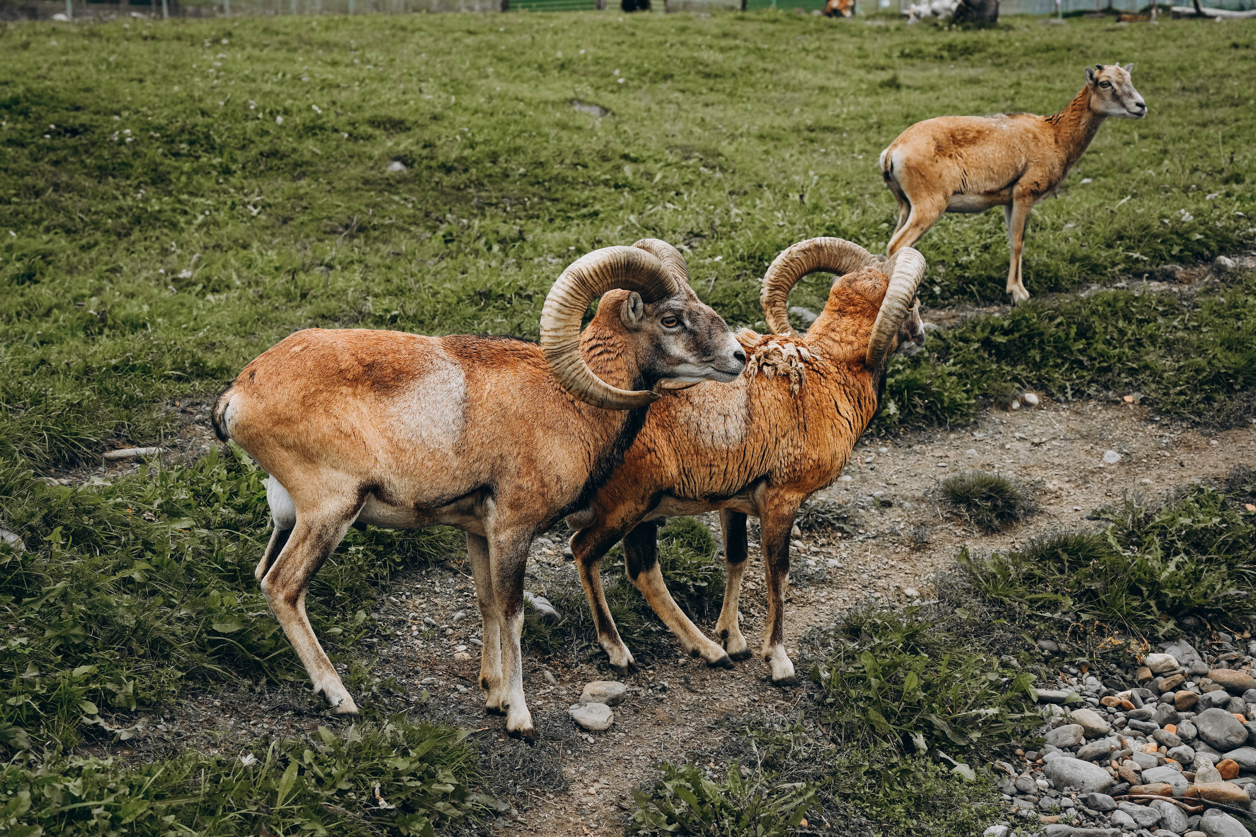 СЕВЕР. Event фотограф Степанова Александра