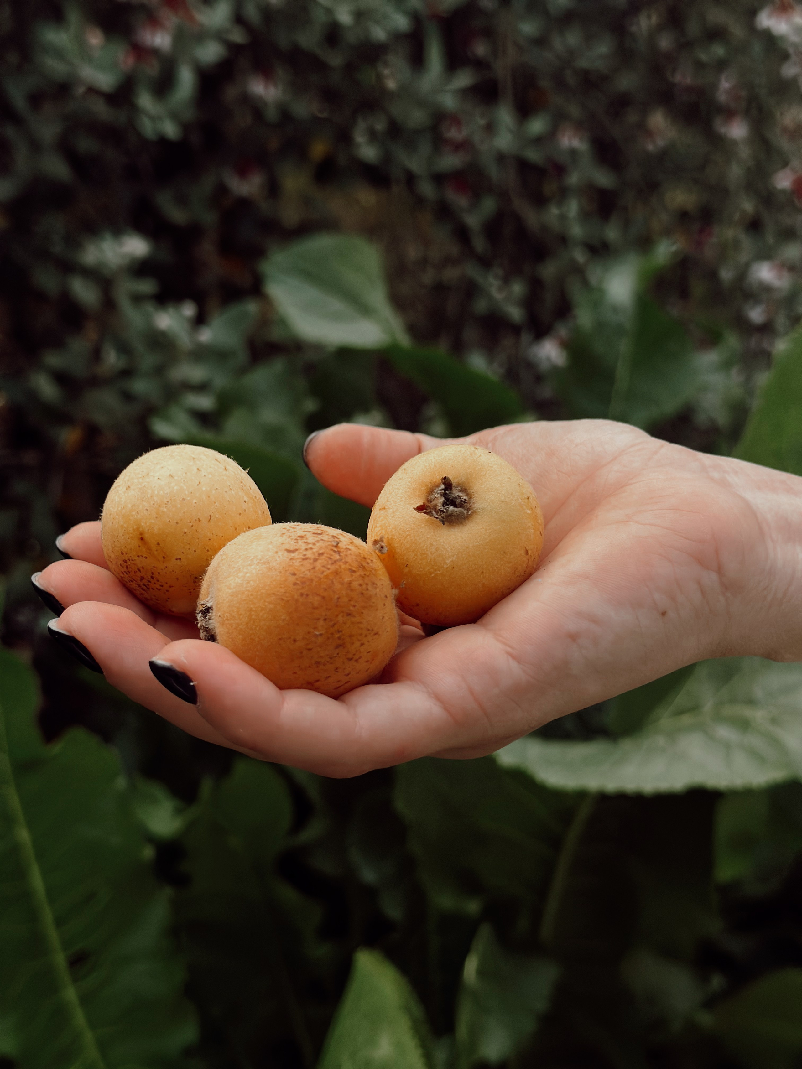 Огородная эстетика. Чувственный мобильный фотограф в Казани и Сочи Дьяченко Дарья