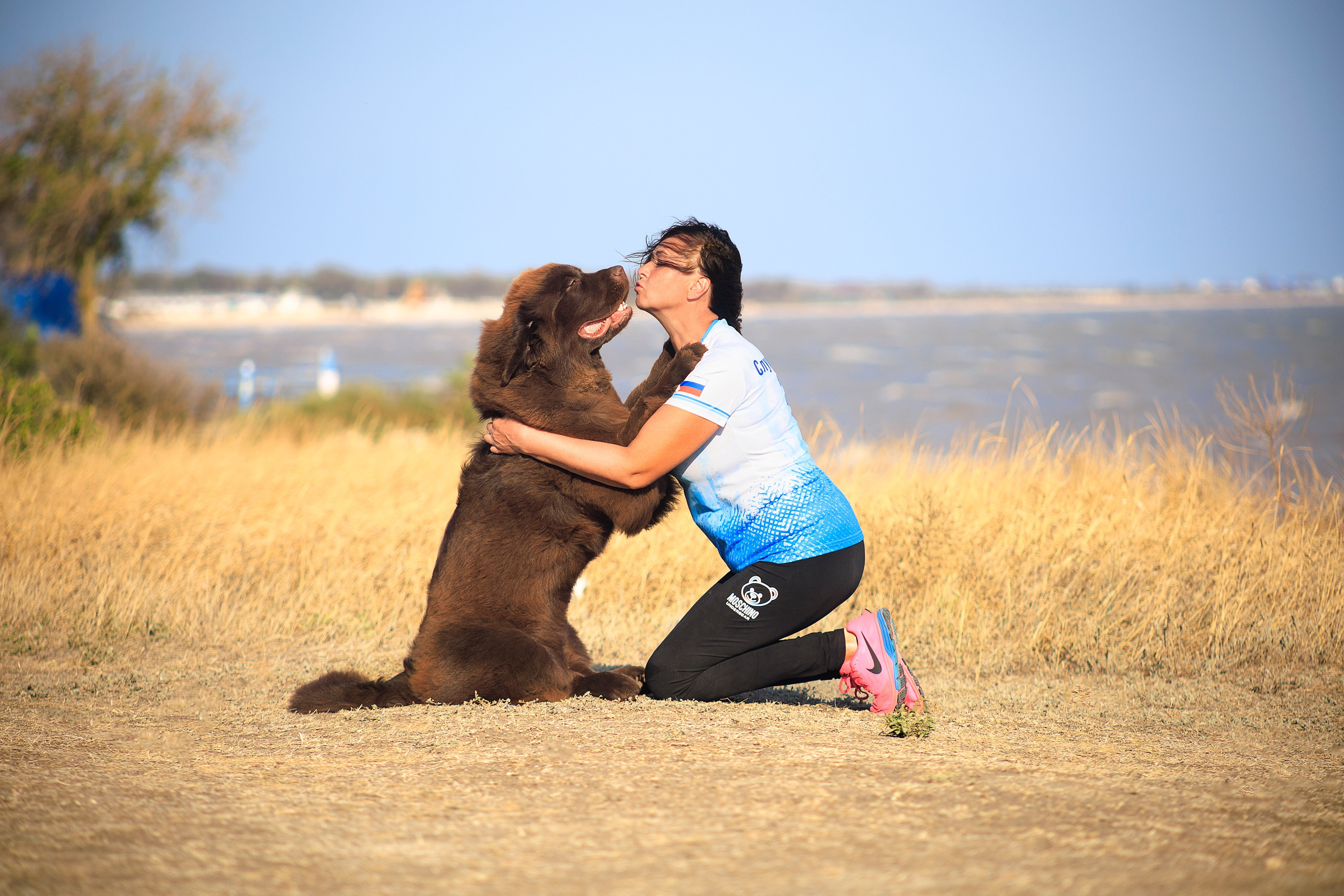 Анимализм Анжелика Сентябрь. Воронина Наталия — индивидуальный и свадебный фотограф в Рязани