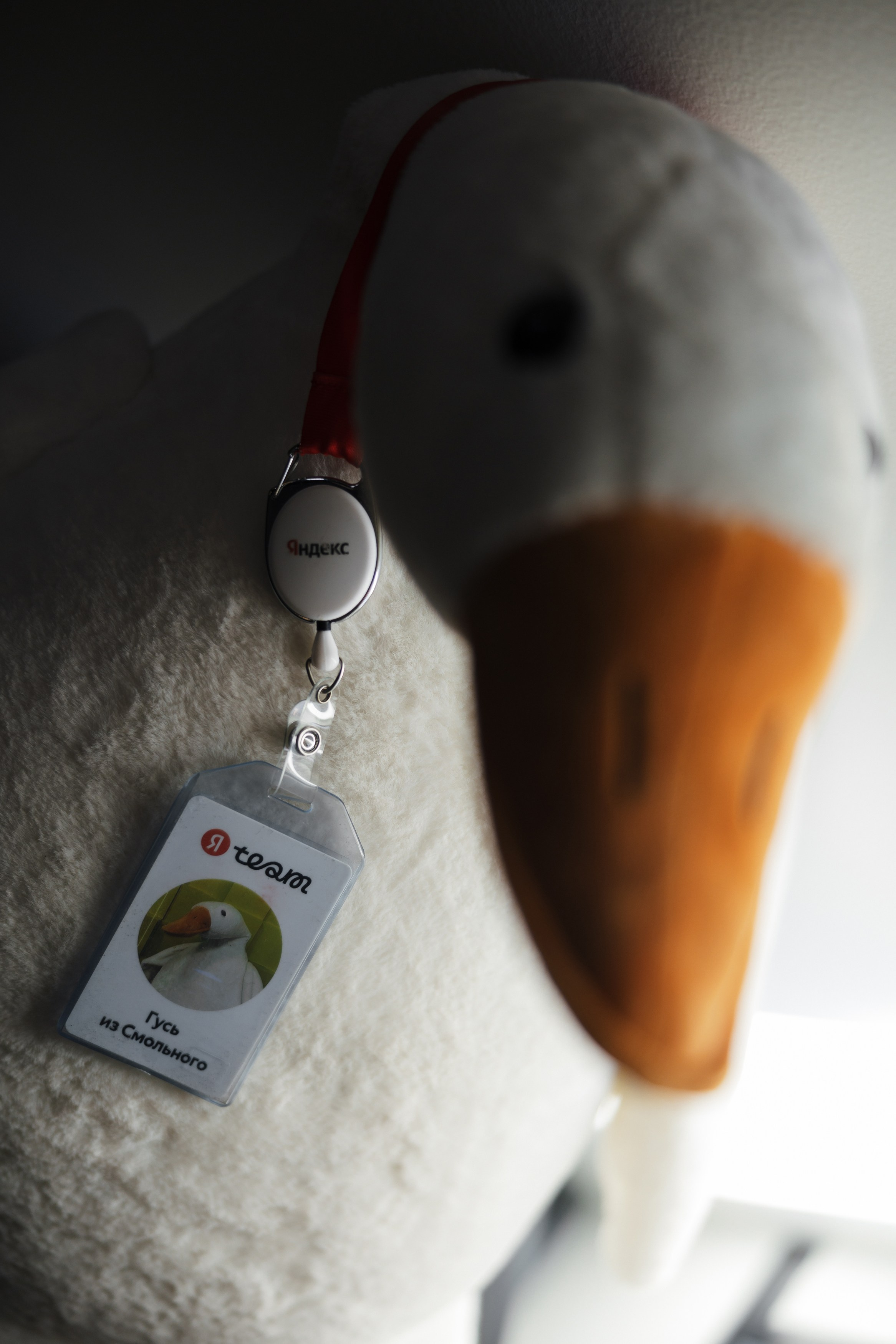 Бизнес мероприятия. Репортажный фотограф Санкт-Петербург, Москва