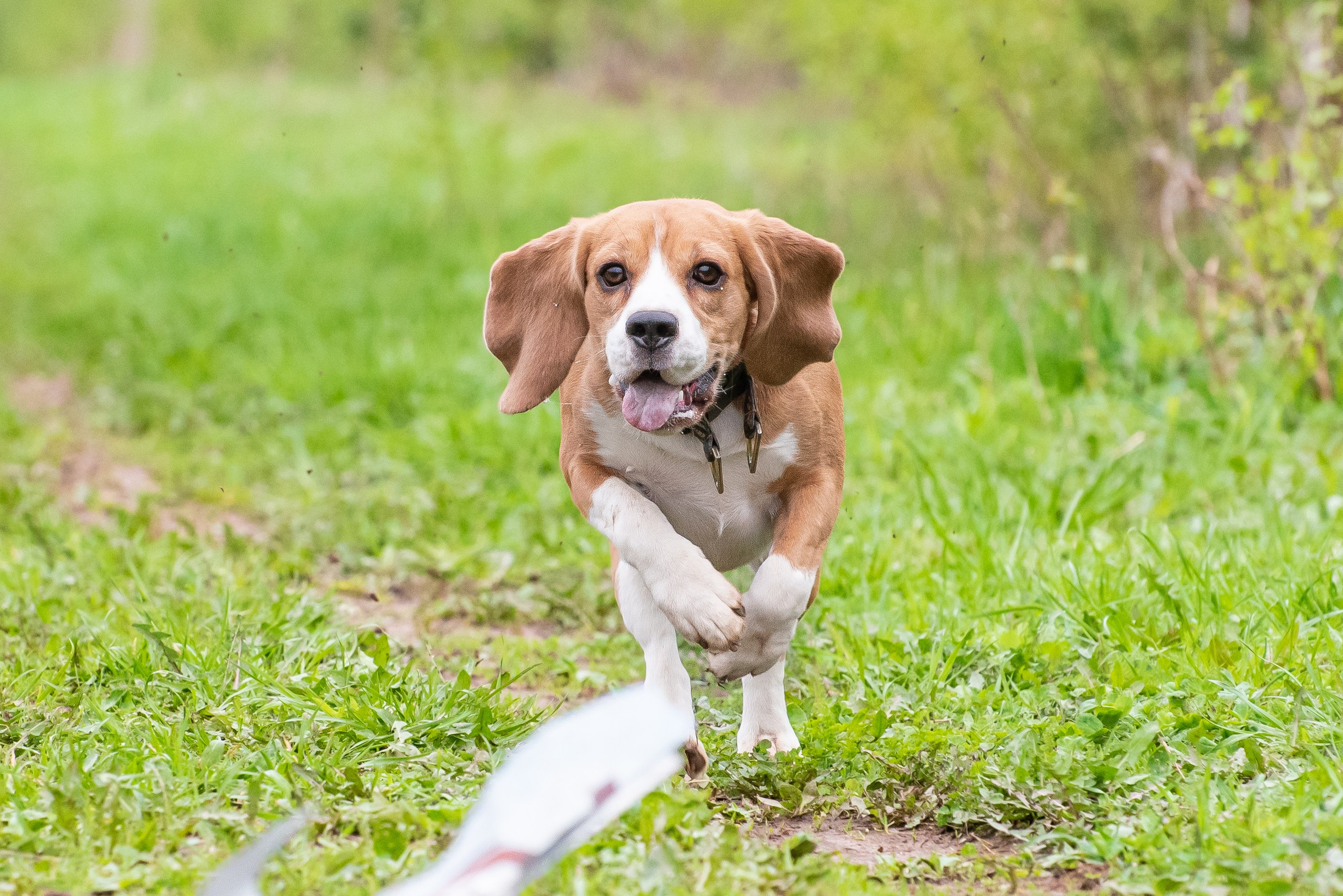 Фотографии с Курсинга. Фотограф Макс Огурцов в Нижнем Новгороде