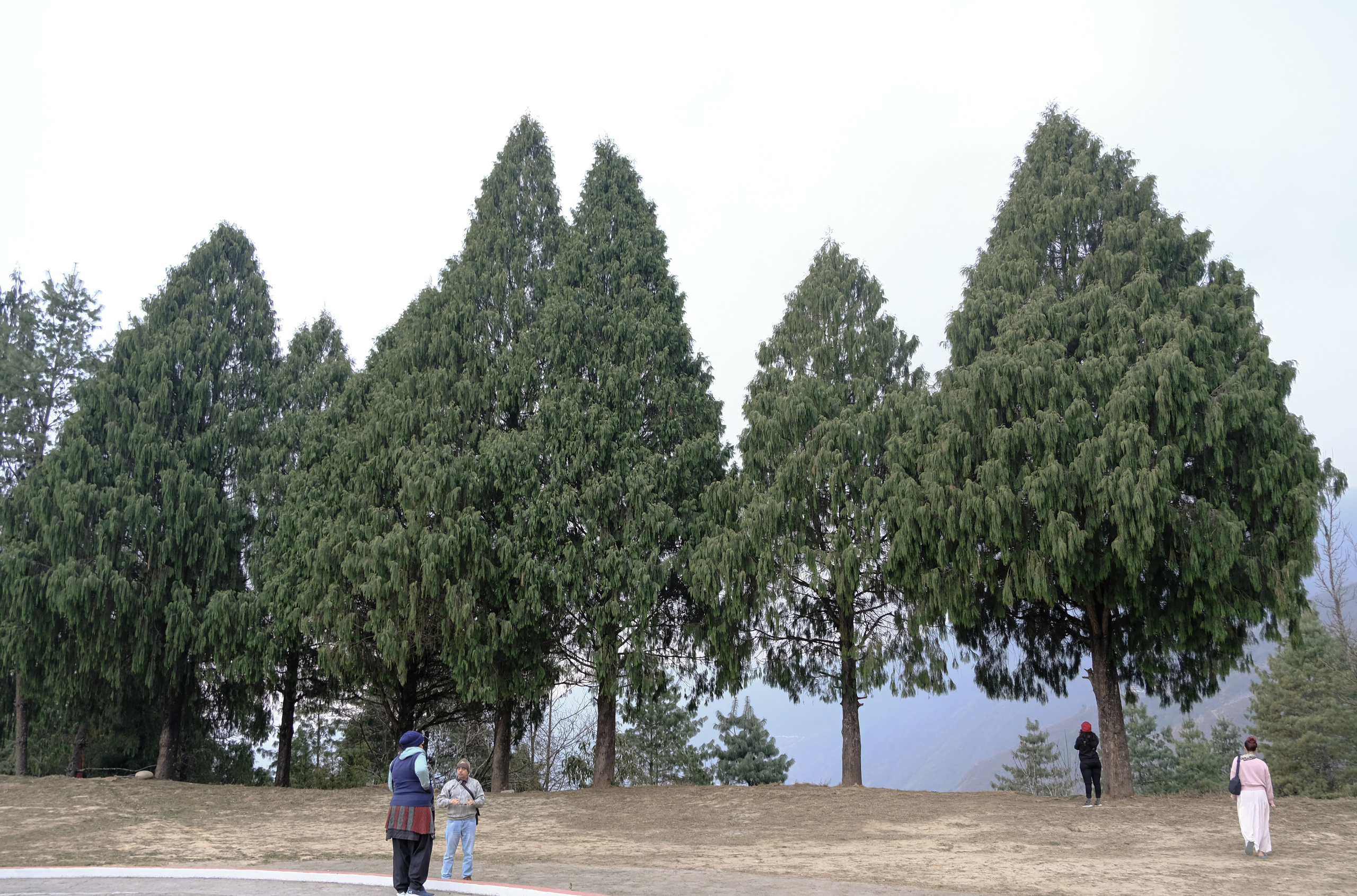 Индия штат Аруначал-Прадеш. Фотографии из путешествий