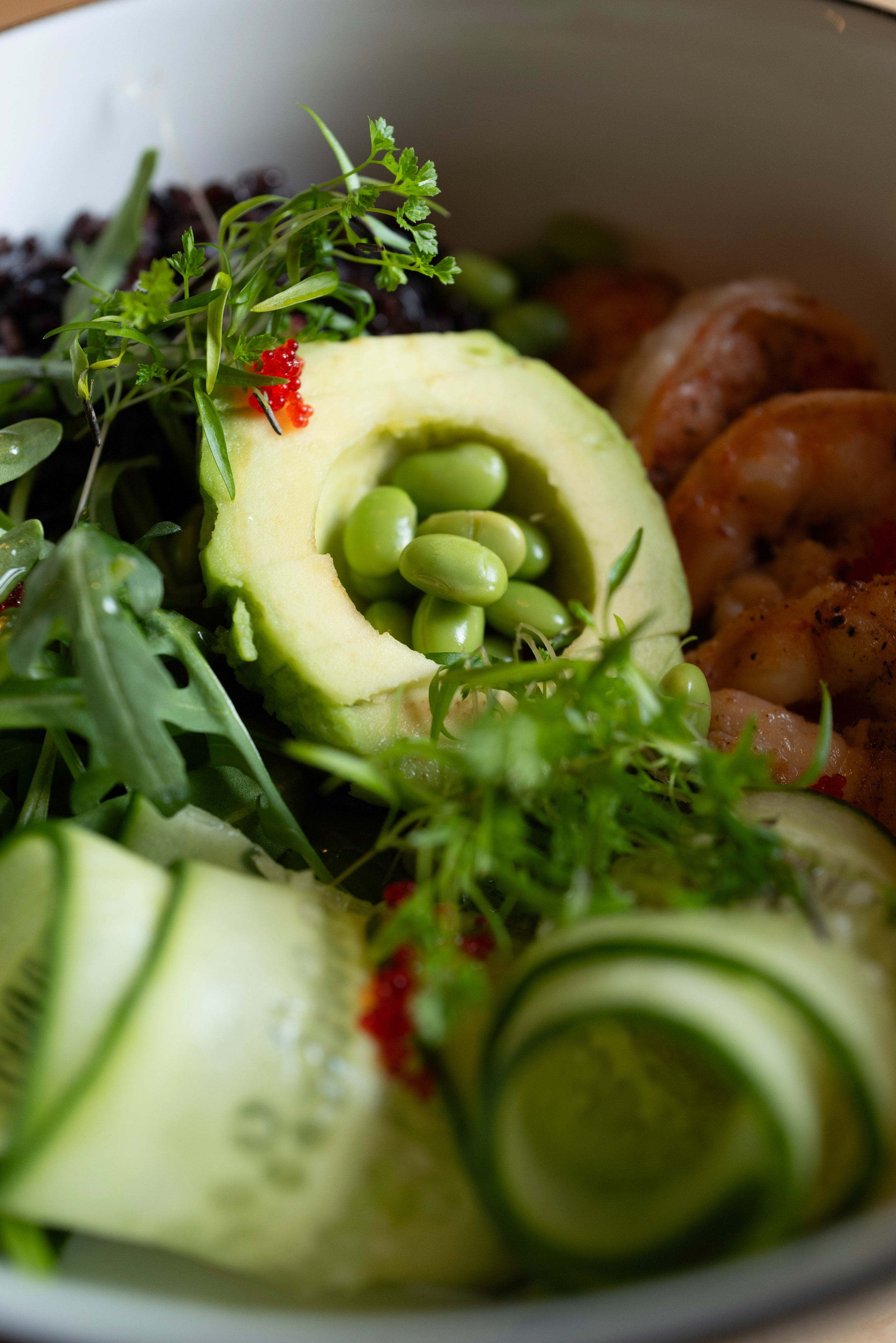 Рестораны. Maxon Magnusson