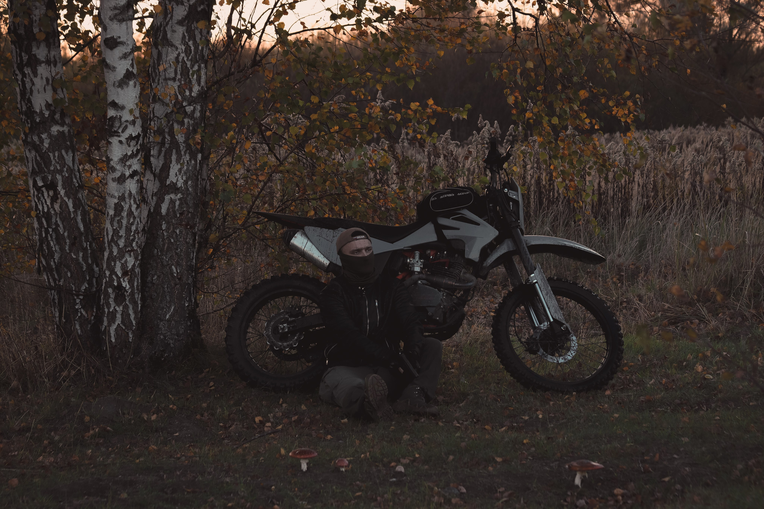 Никита П. (Daryl Dixon). — Digital Noise —