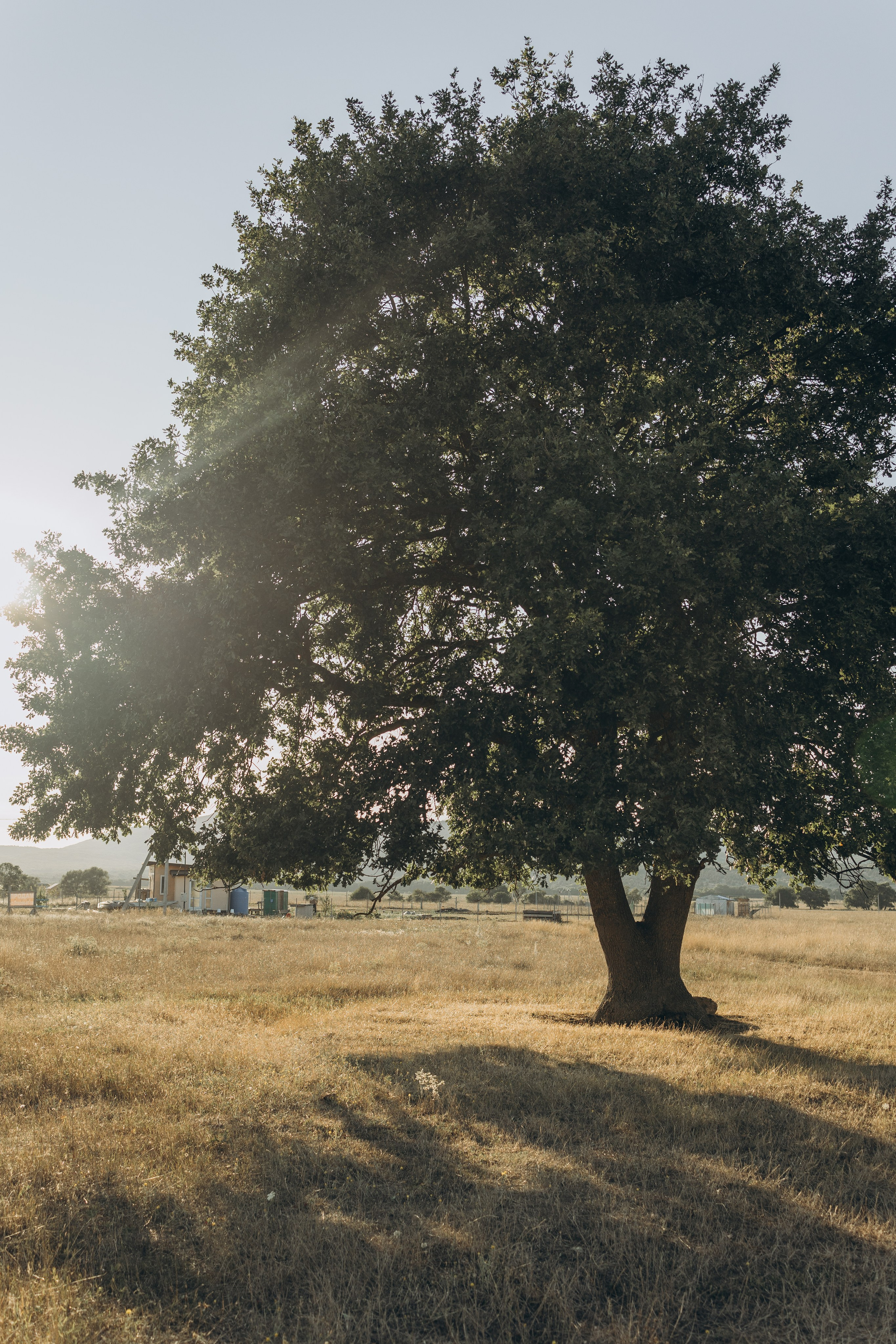 Катя, Андрей и Илья. Семейный фотограф в Москве Виктория Ястребинская